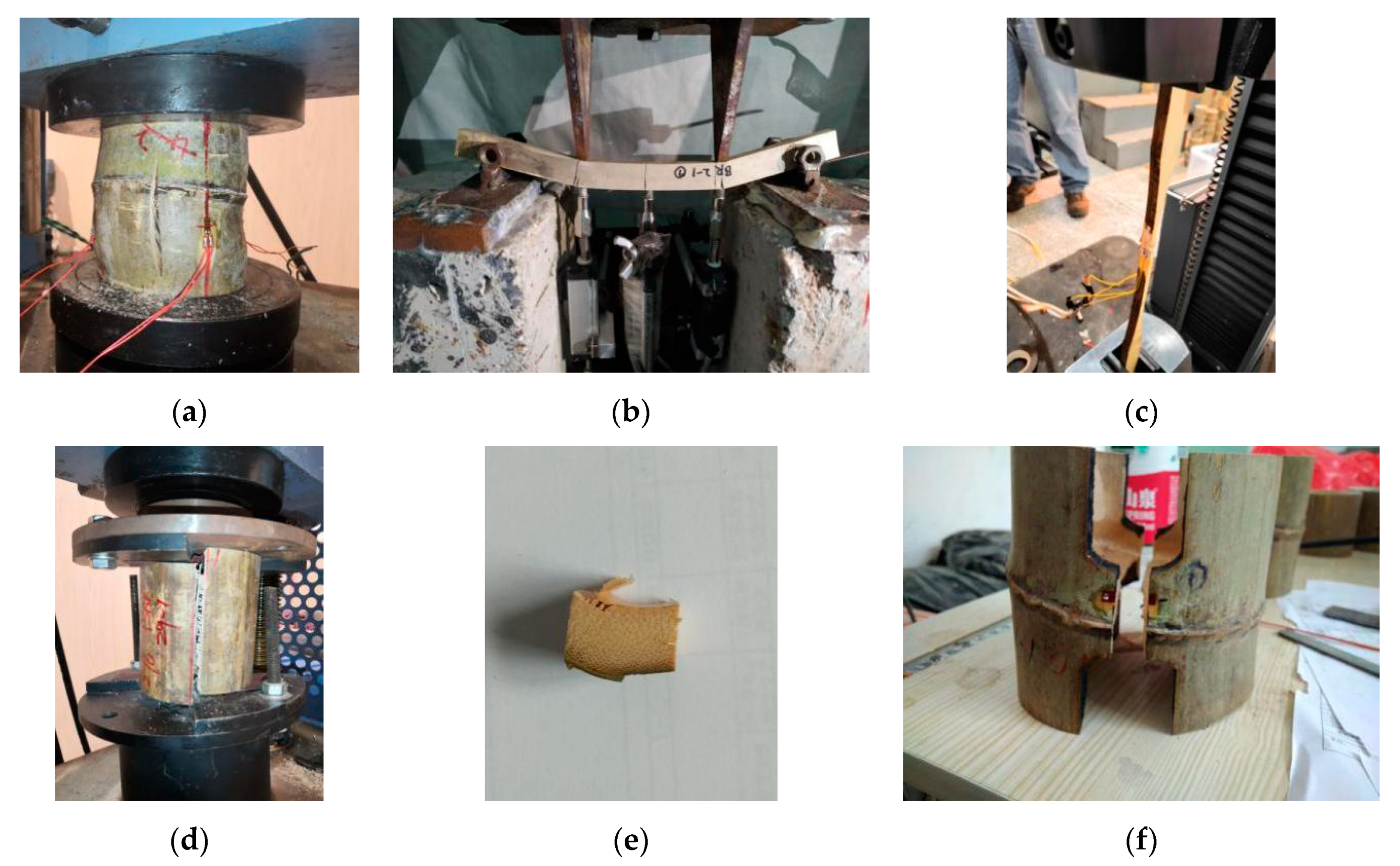 Forests 12 01309 g002 Forests 12 01309 g002