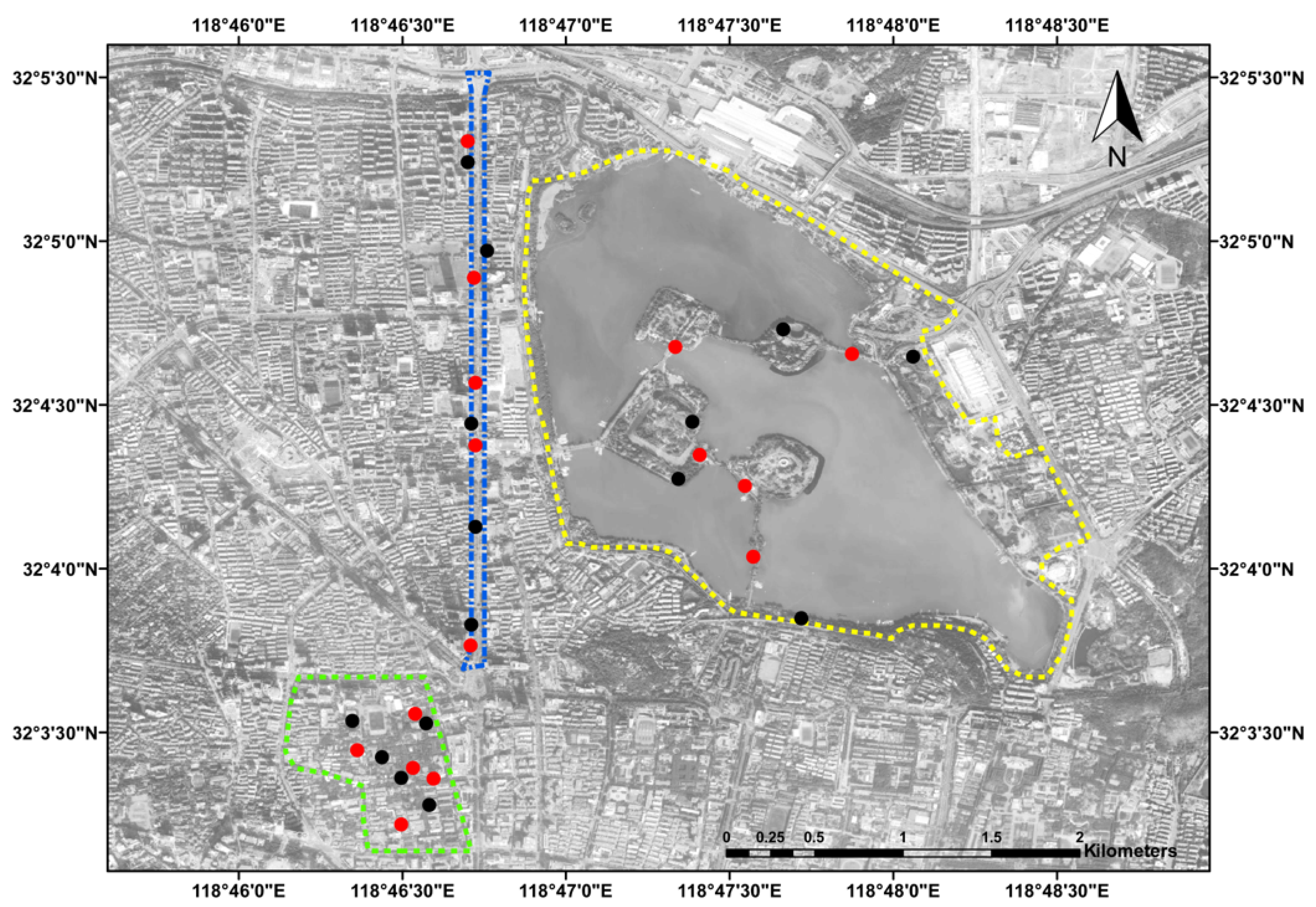 Forests 12 01313 g001