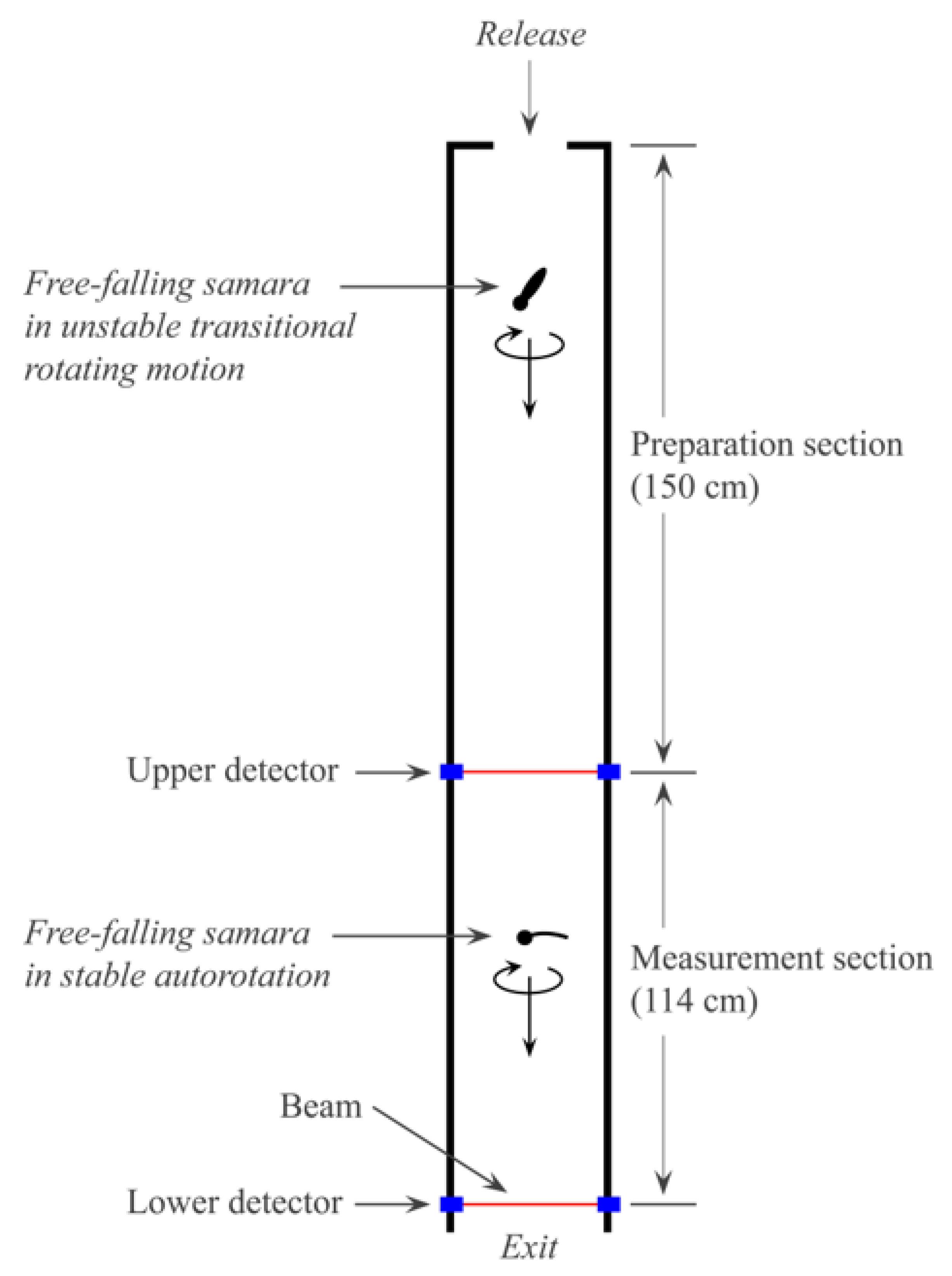 Forests 12 01313 g002