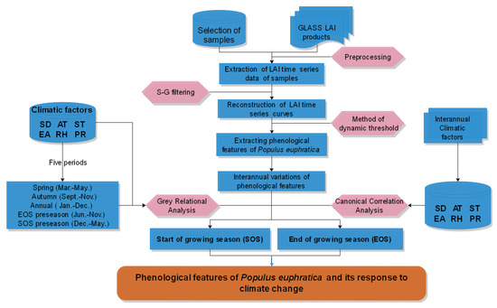 Populus euphratica Phenology and Its Response to Climate Populus euphratica Phenology and Its Response to Climate