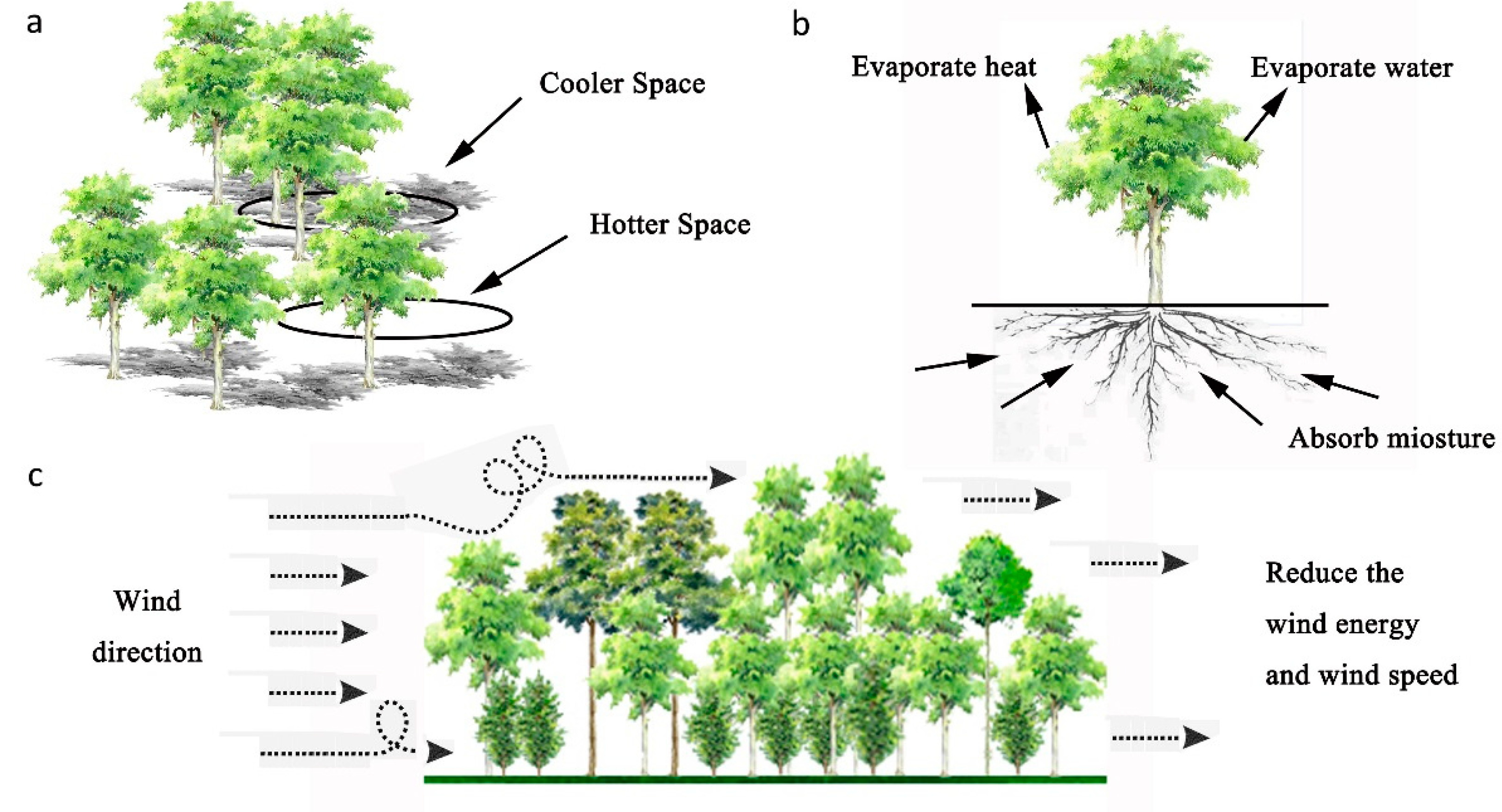 Forests 12 01322 g009