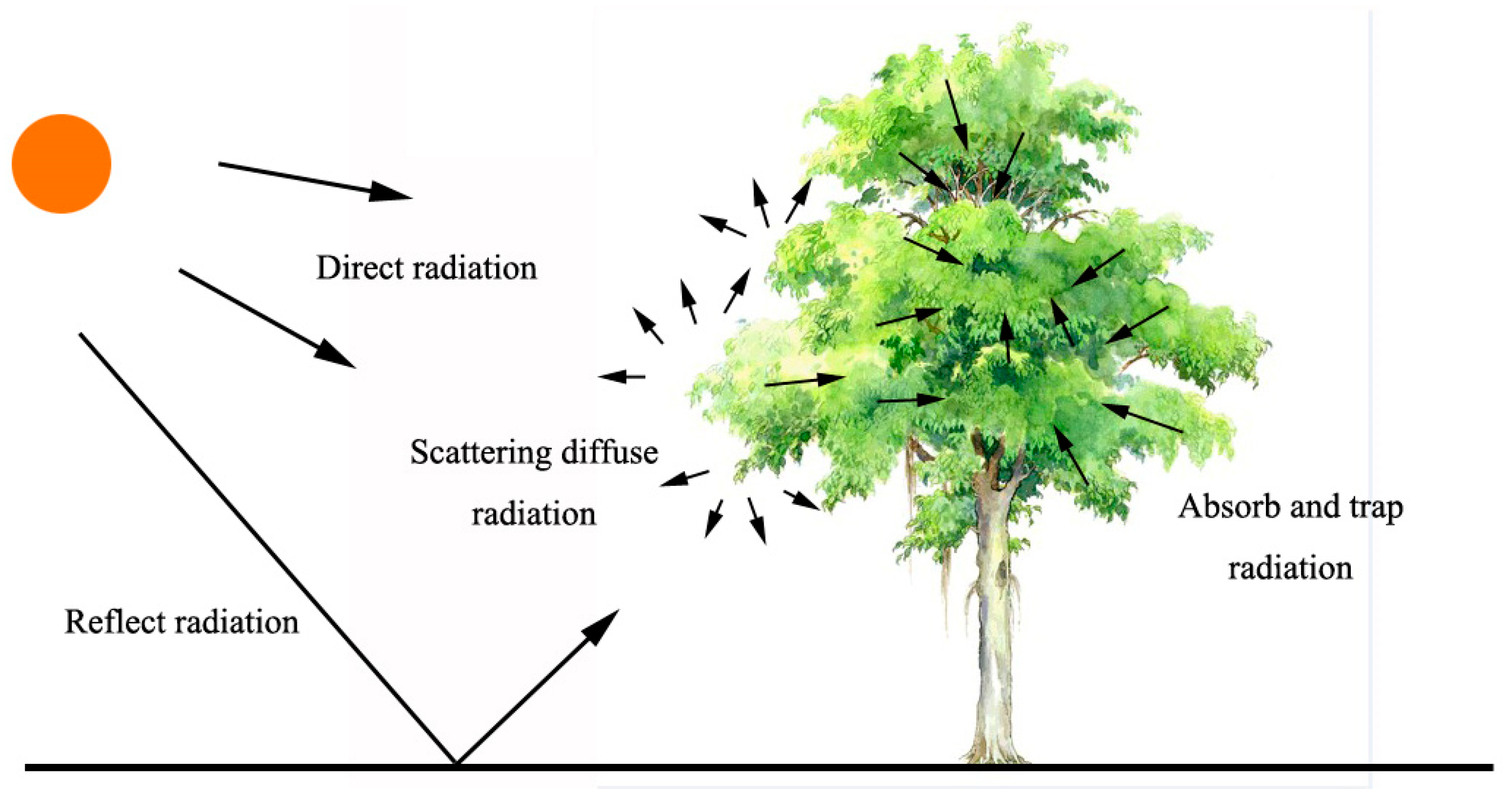 Forests 12 01322 g010