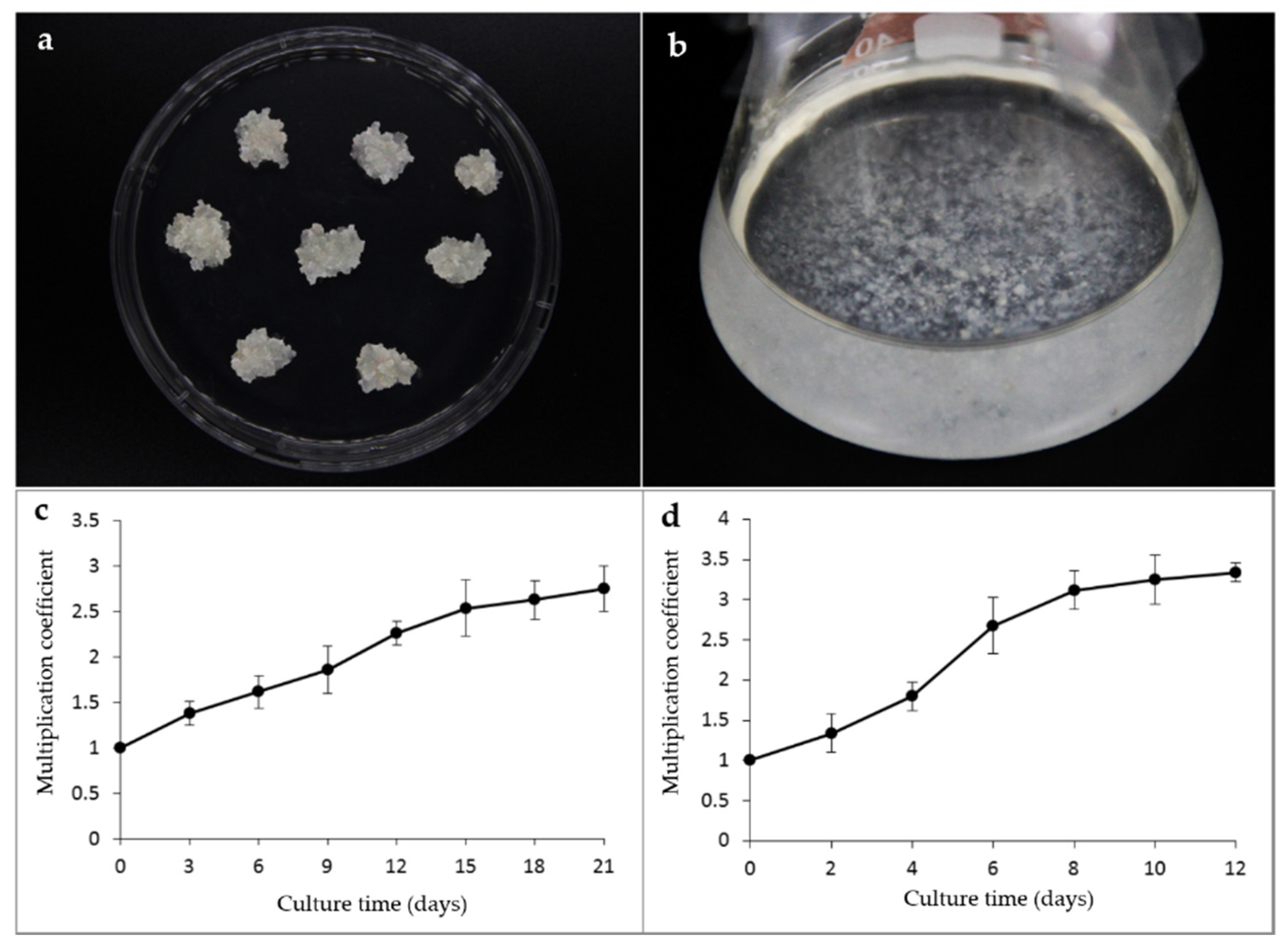 Forests 12 01335 g002