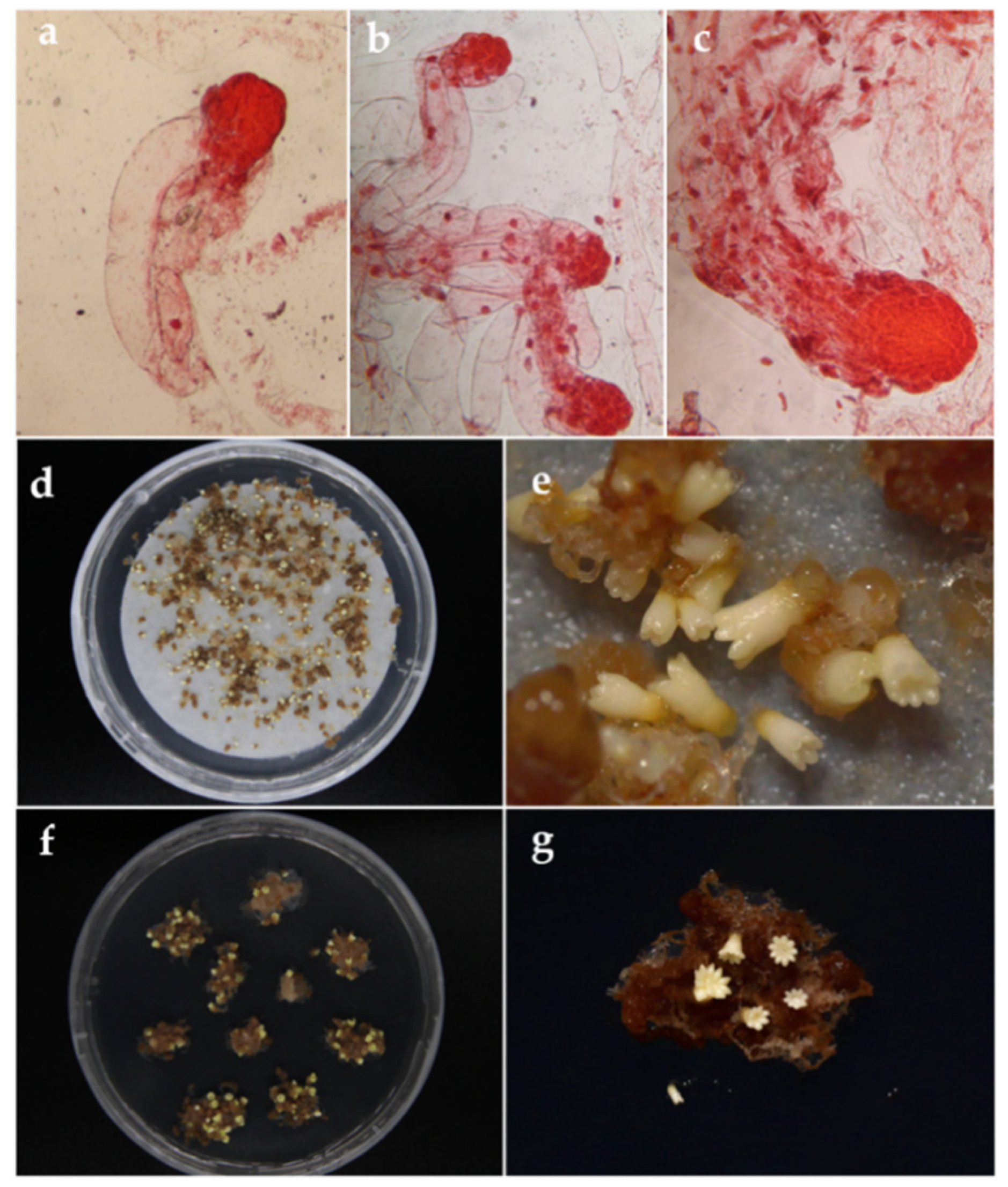 Forests 12 01335 g003