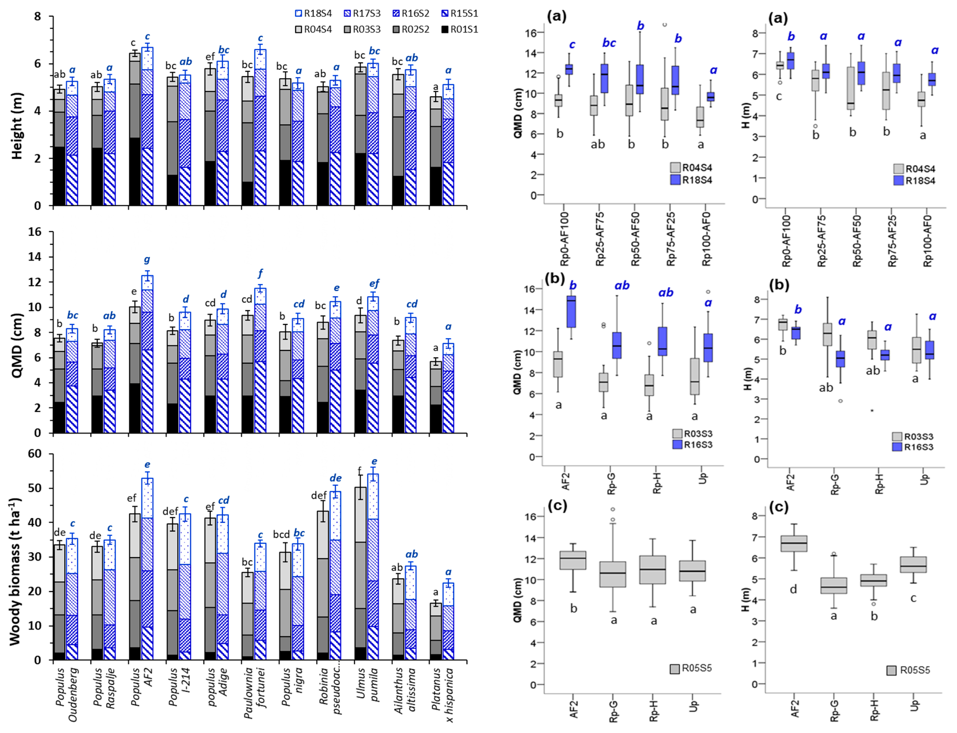 Forests 12 01337 g001