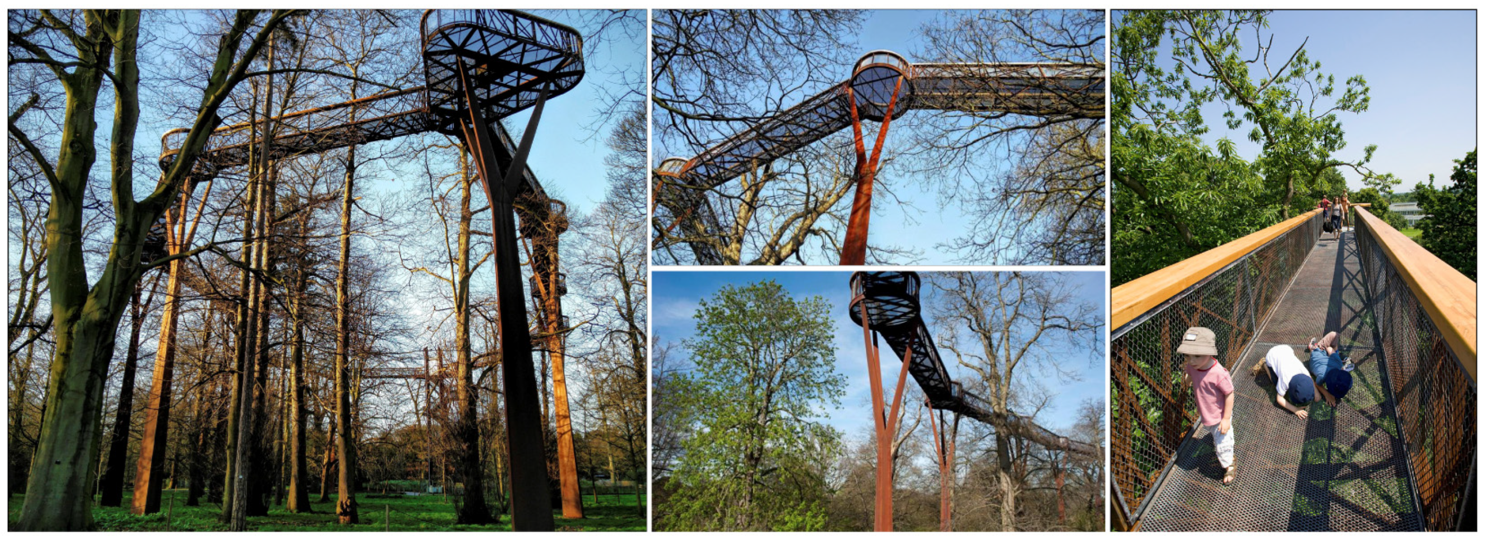 Forests 12 01343 g003