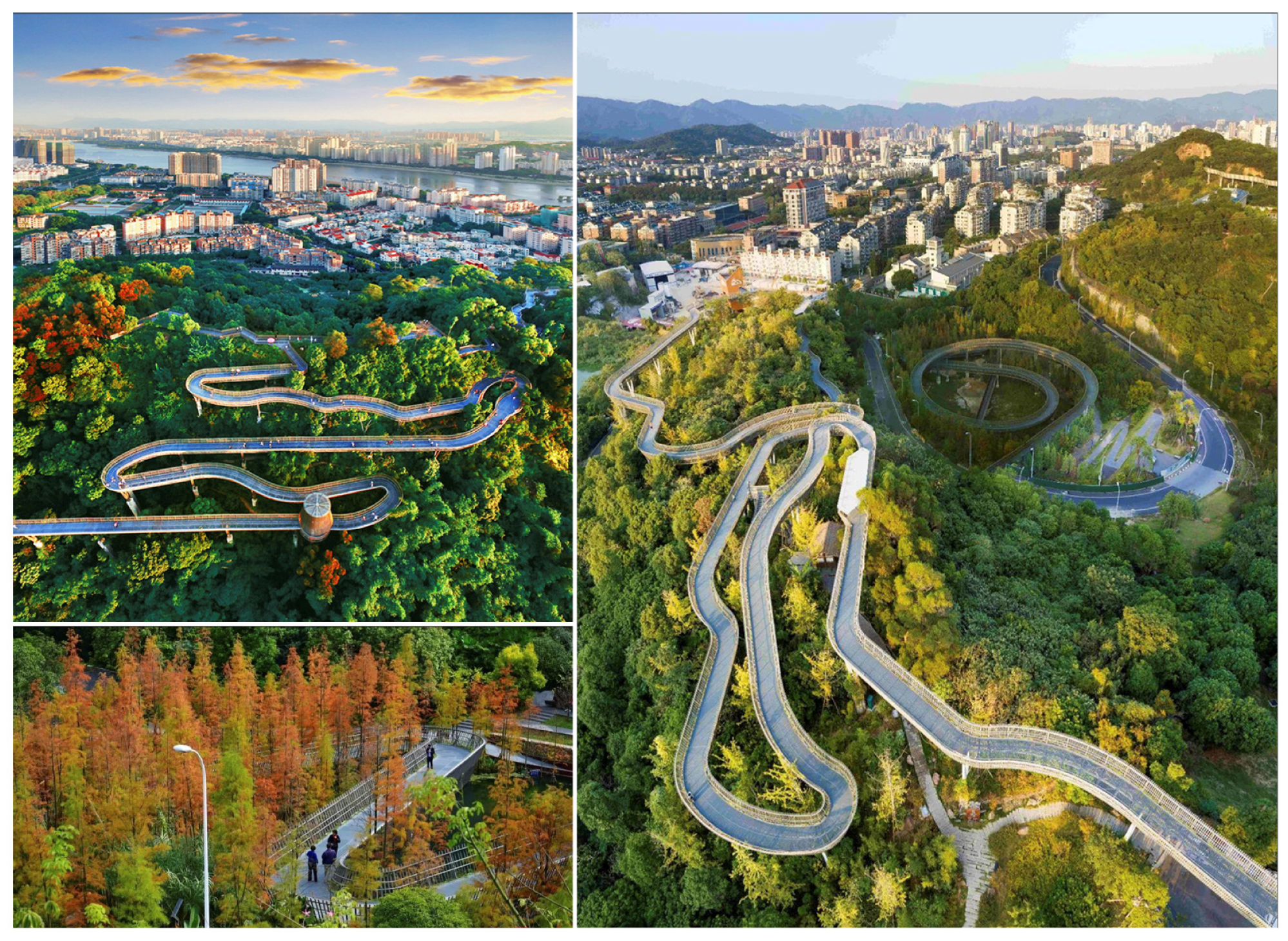 Forests 12 01343 g004