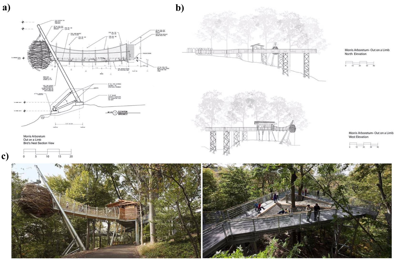 Forests 12 01343 g010