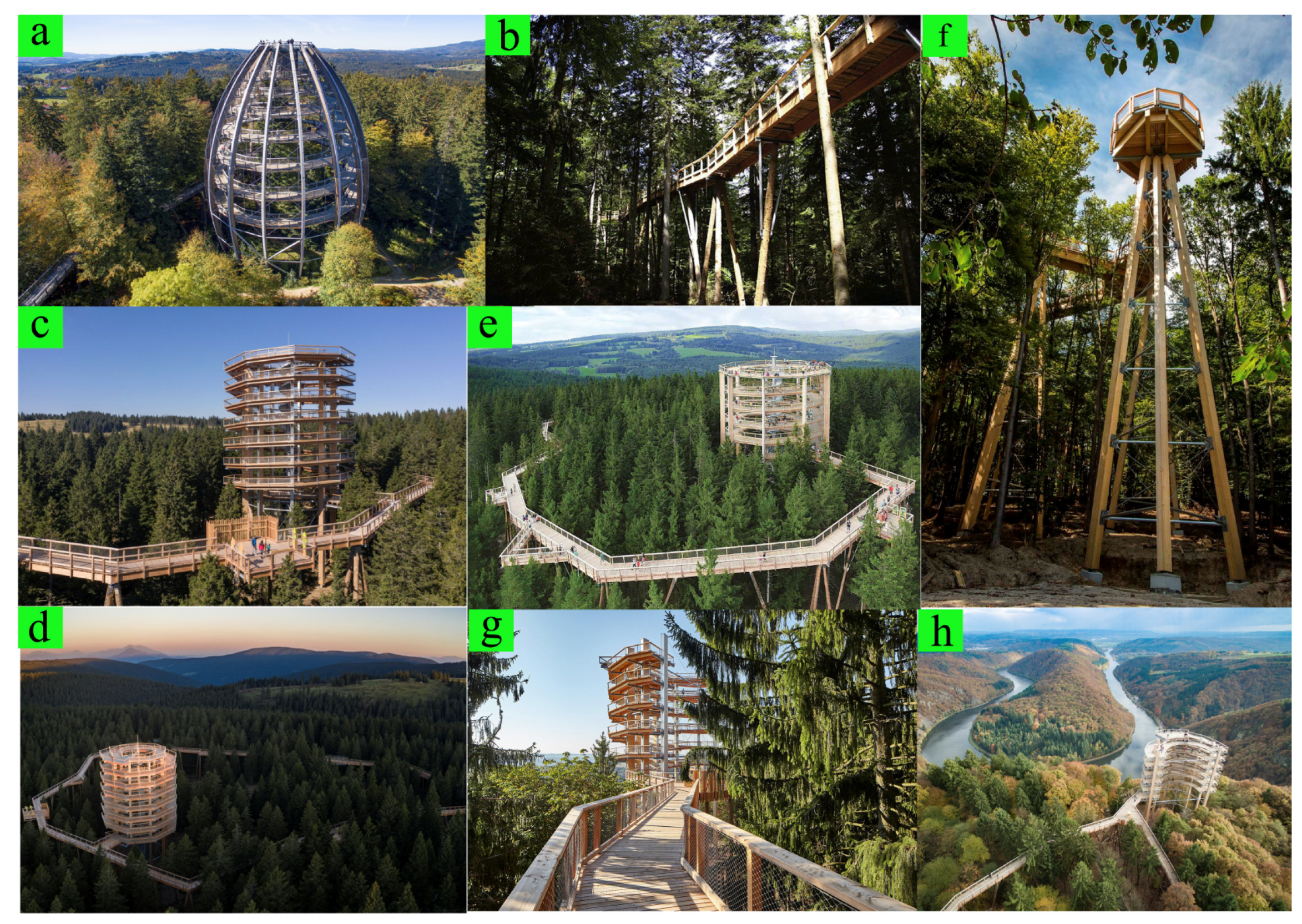 Forests 12 01343 g0a1