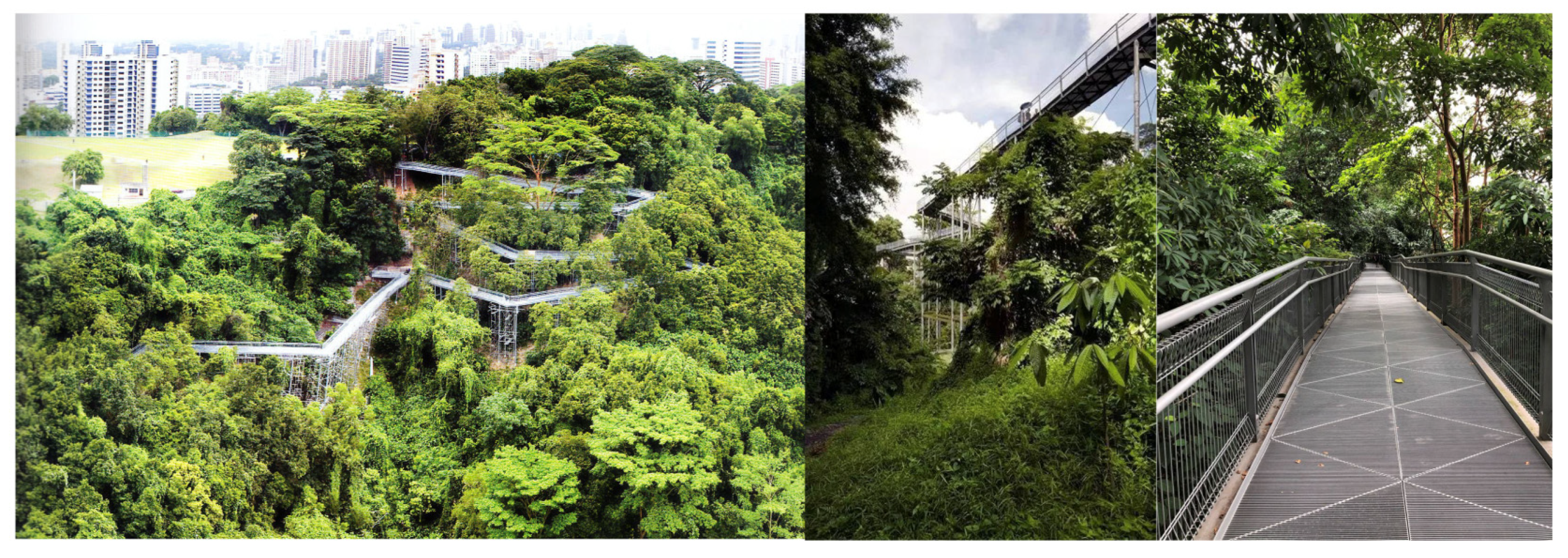 Forests 12 01343 g0a2