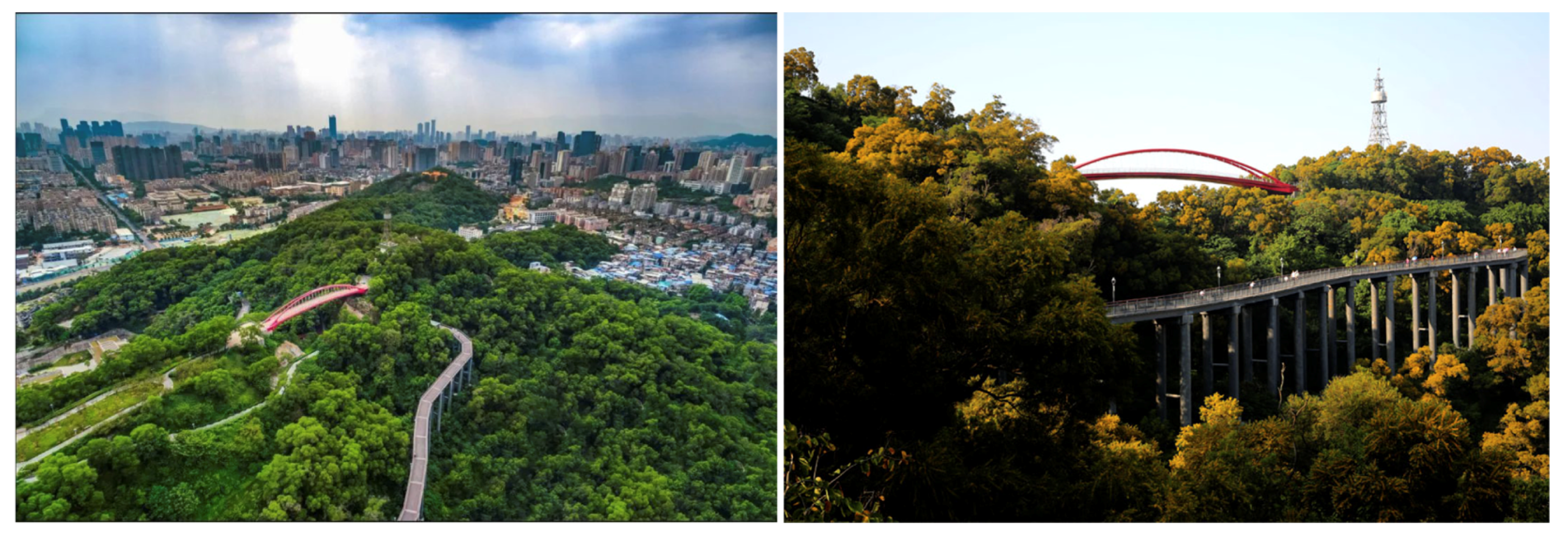 Forests 12 01343 g0a5