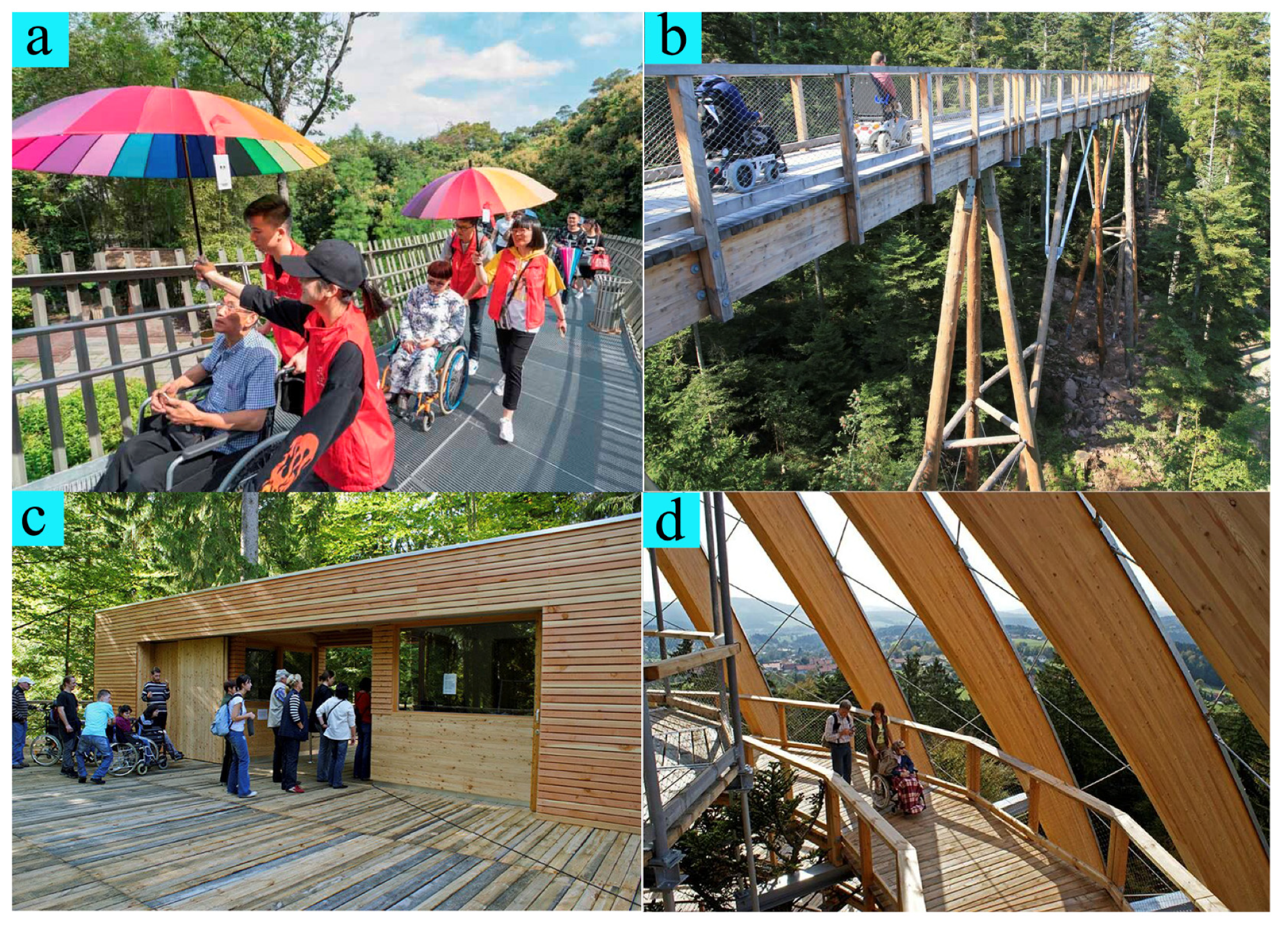 Forests 12 01343 g0a7