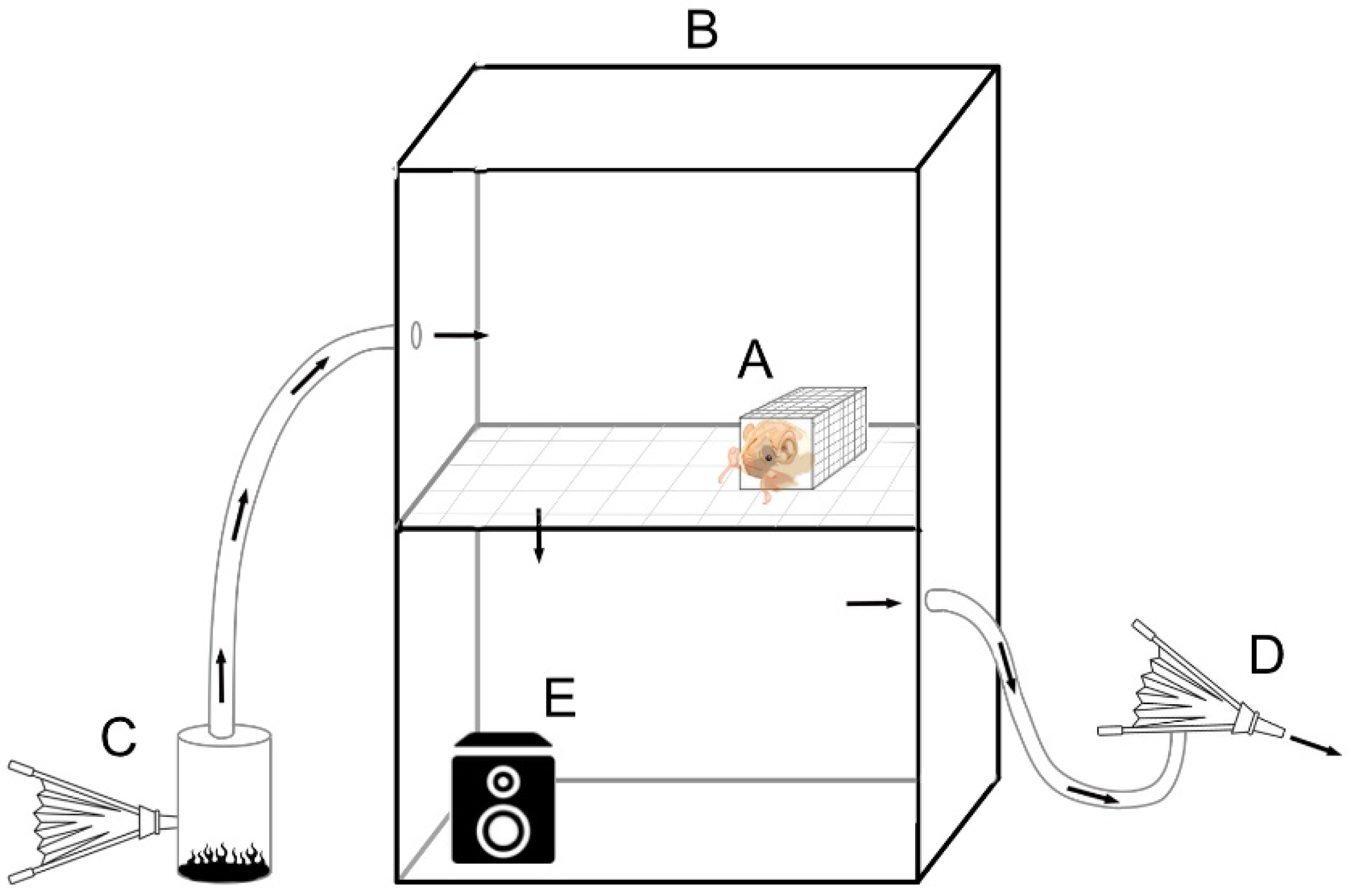 Forests 12 01347 g001