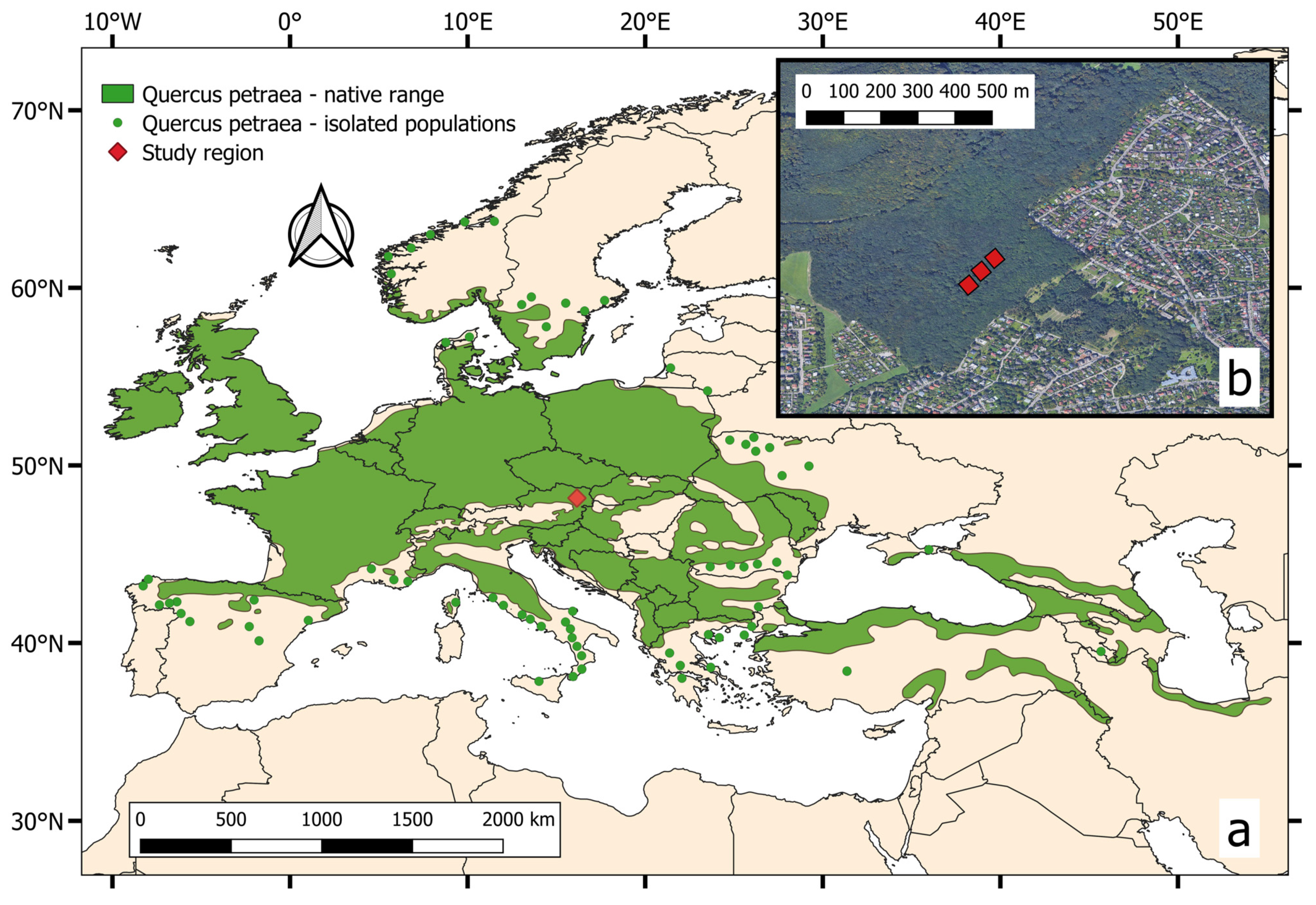 Forests 12 01354 g001