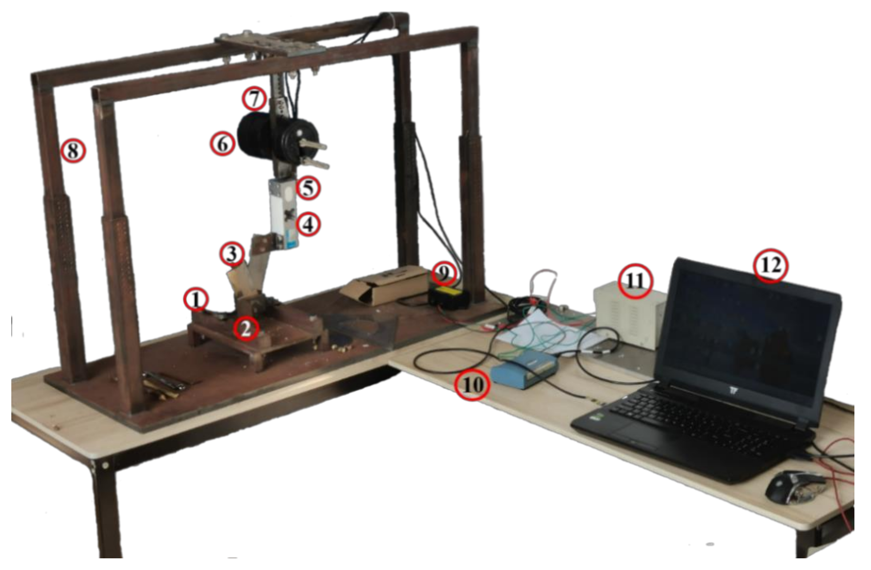 Forests 12 01359 g001