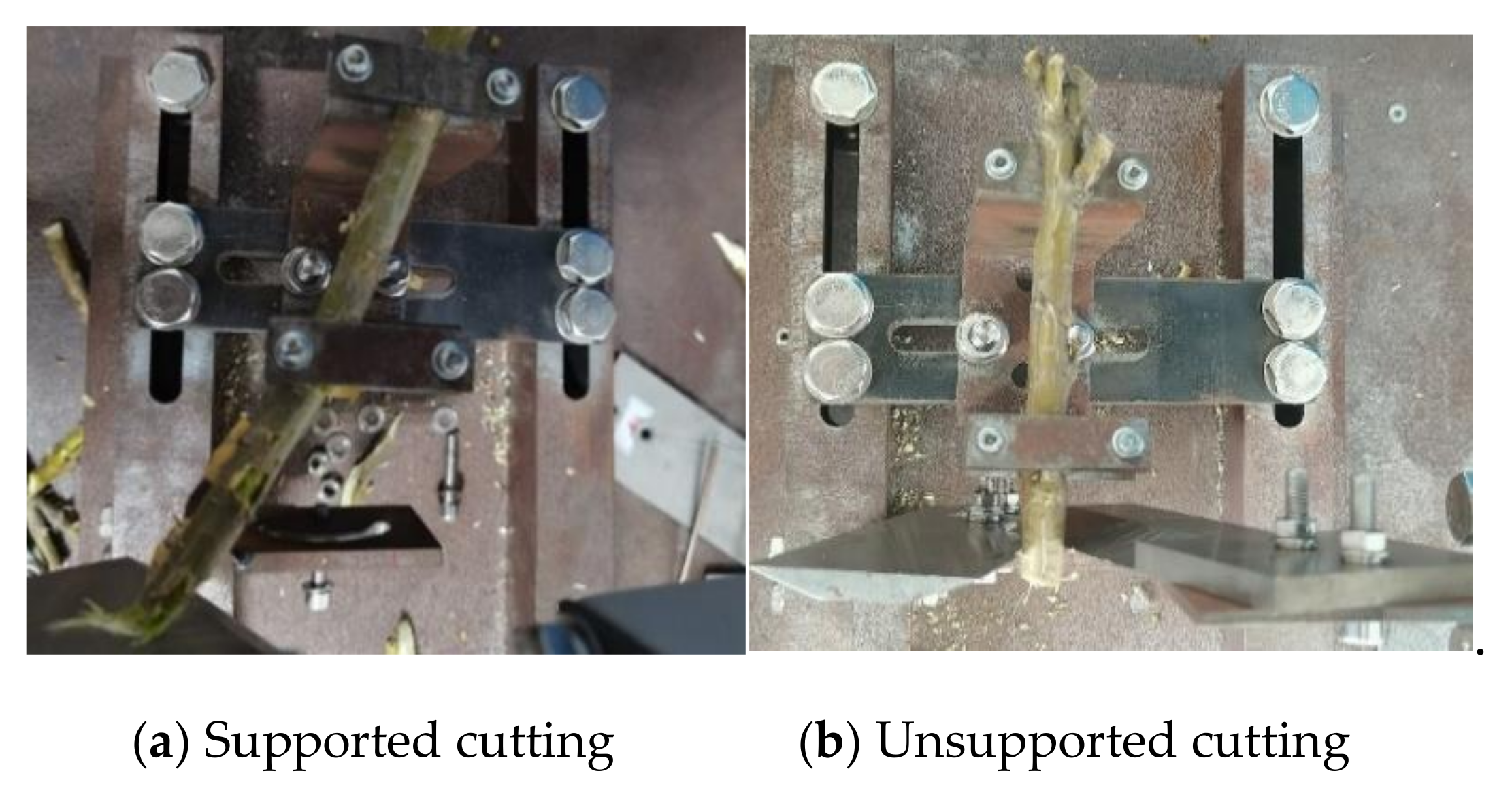 Forests 12 01359 g008