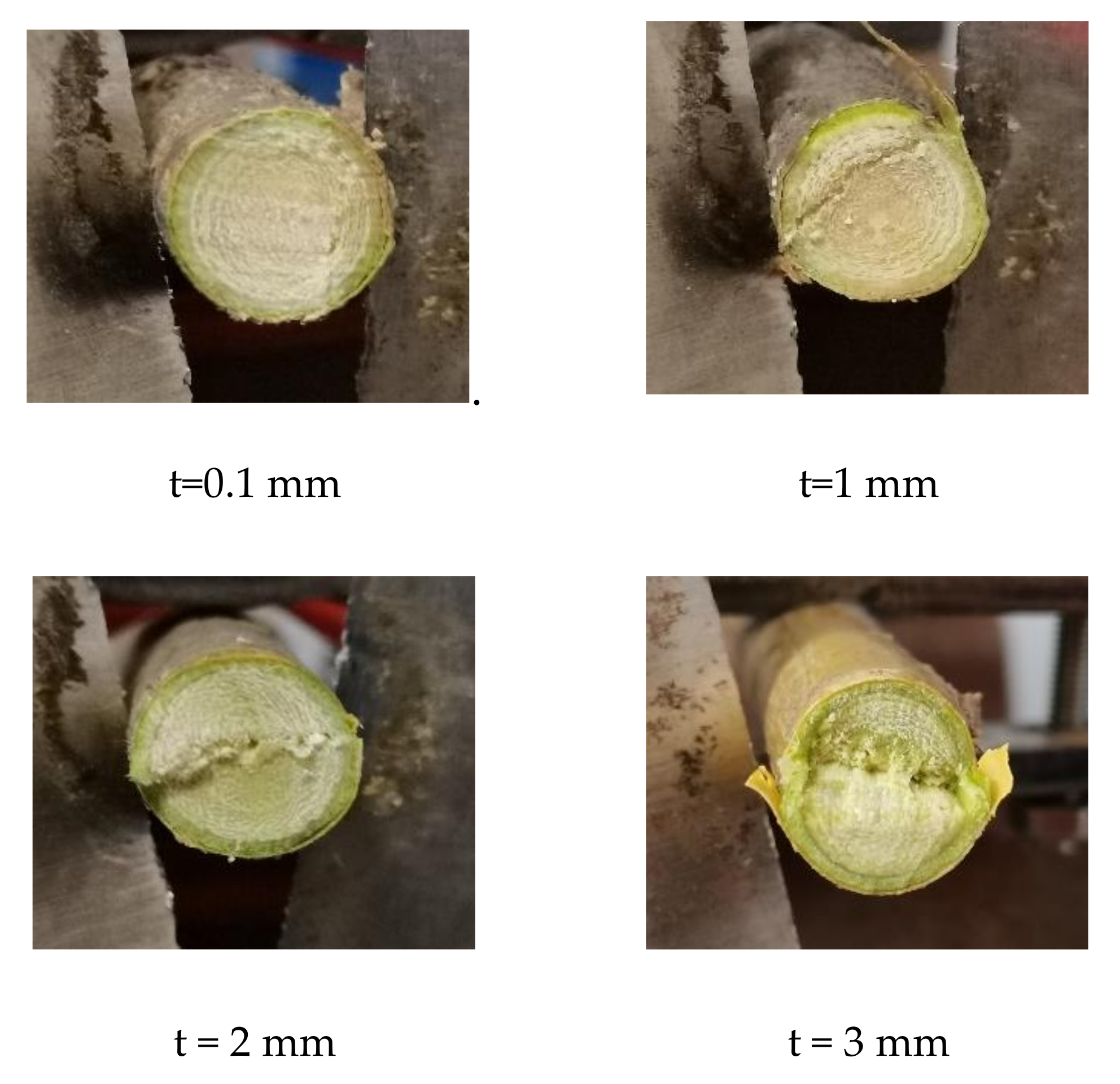 Forests 12 01359 g018