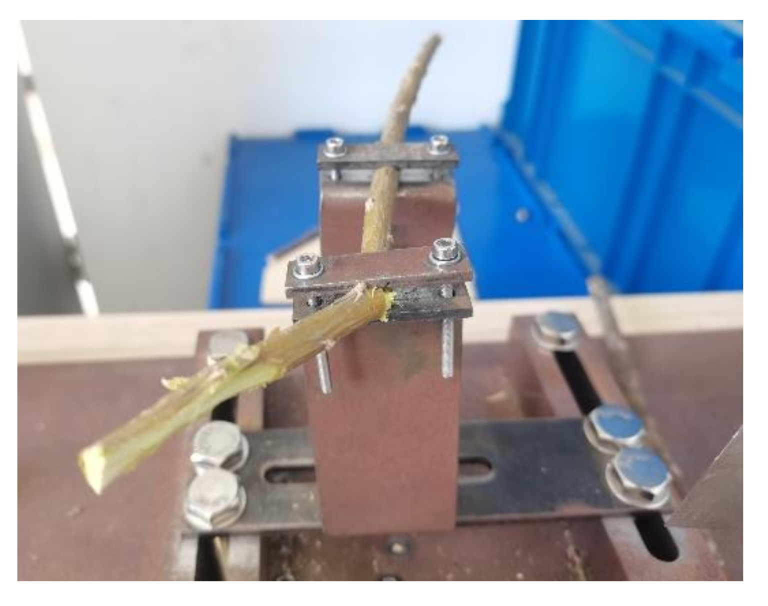 Forests 12 01359 g020