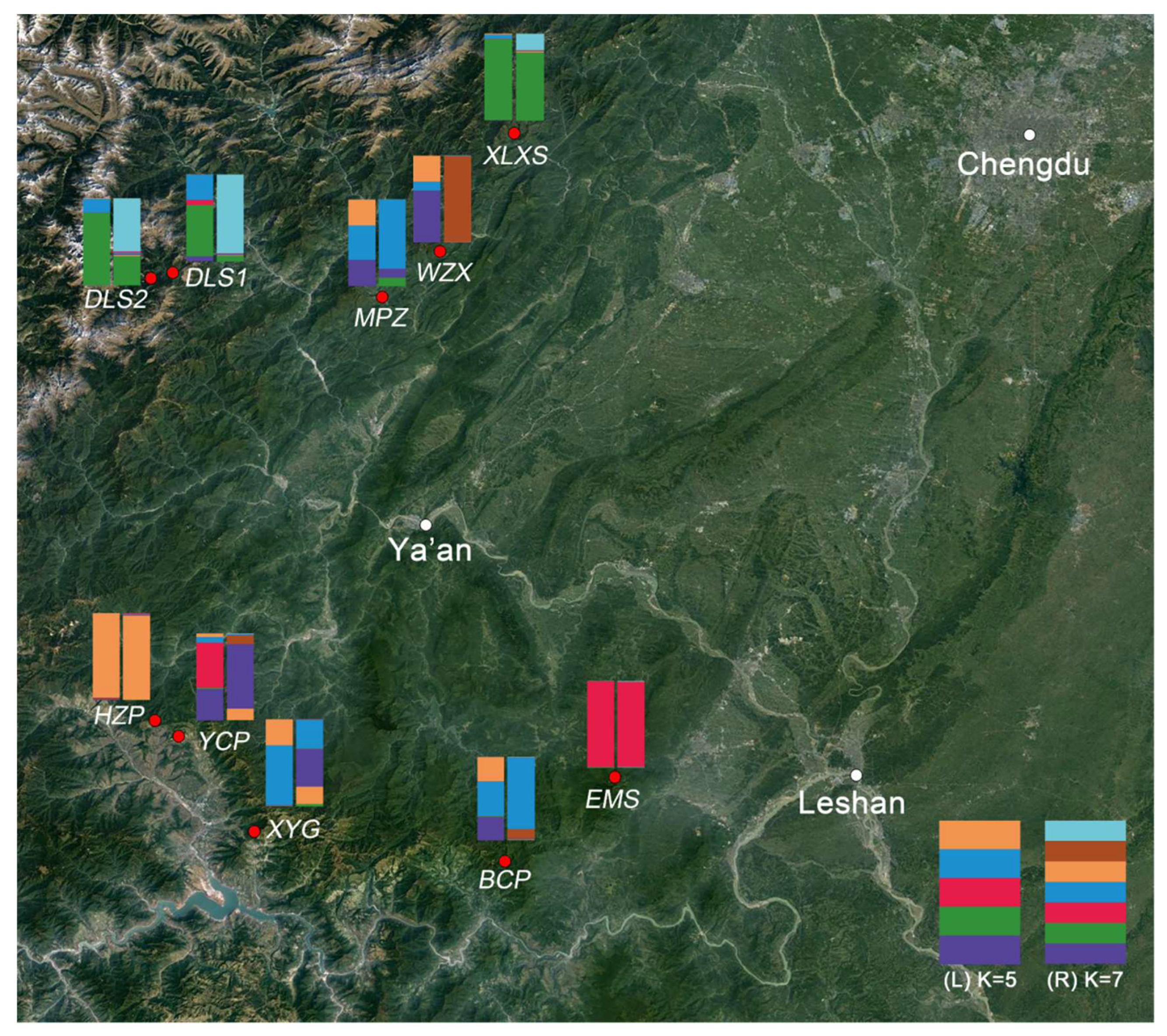 Forests 12 01365 g004