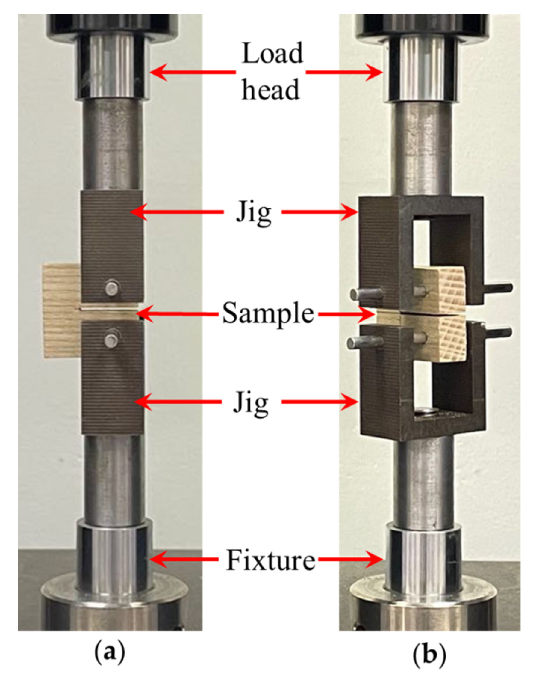 Forests 12 01369 g003