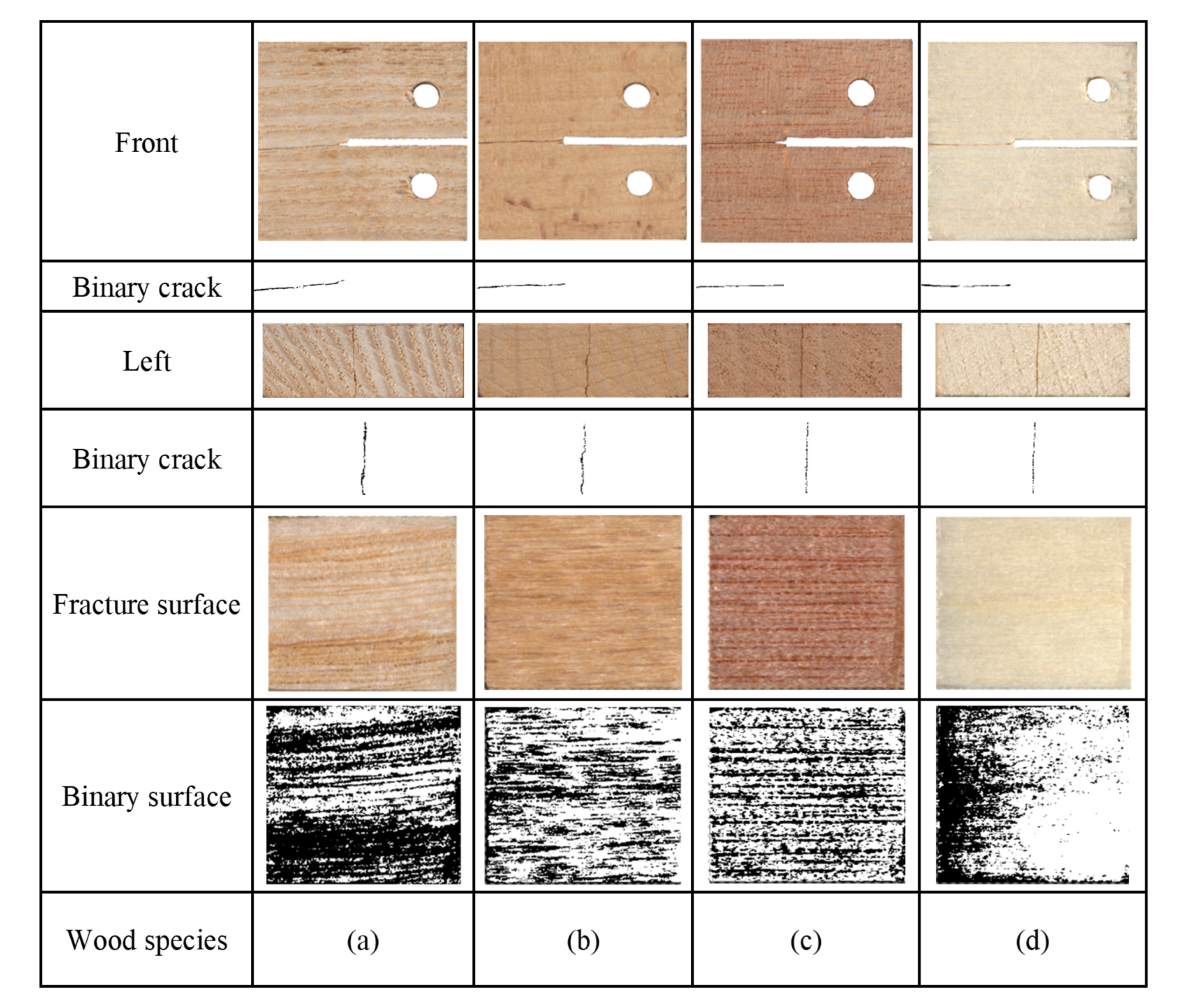 Forests 12 01369 g007
