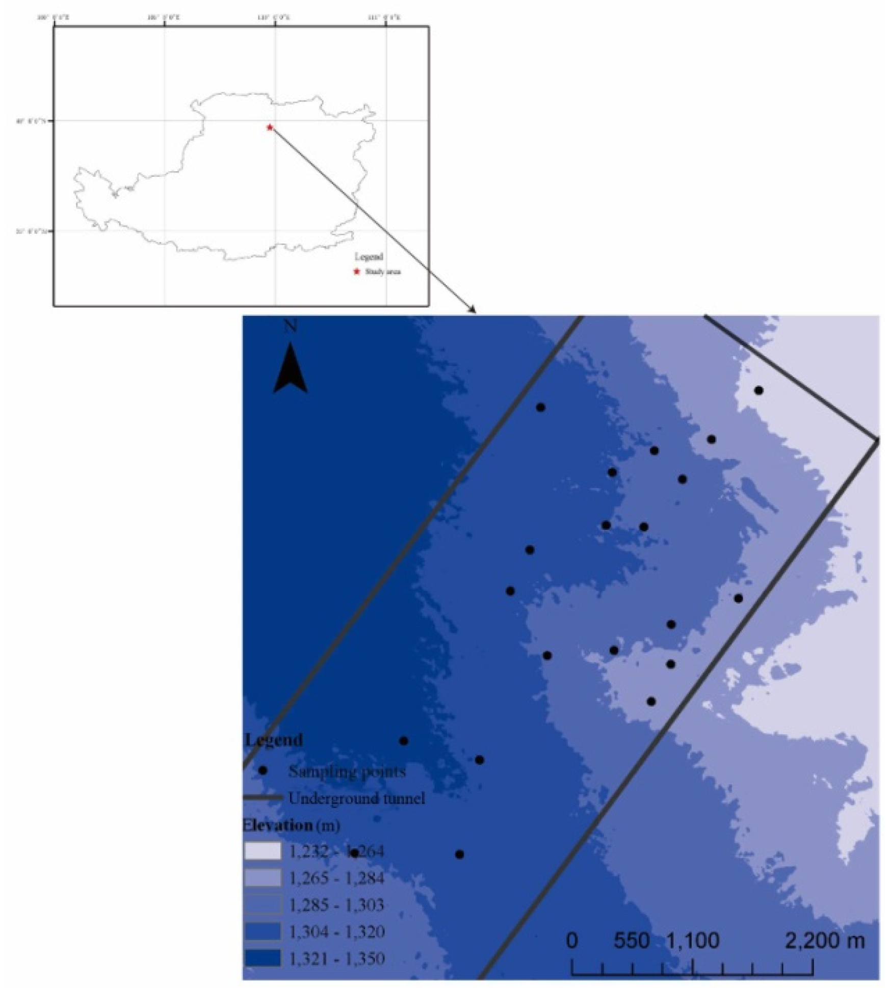 Forests 12 01370 g001 550