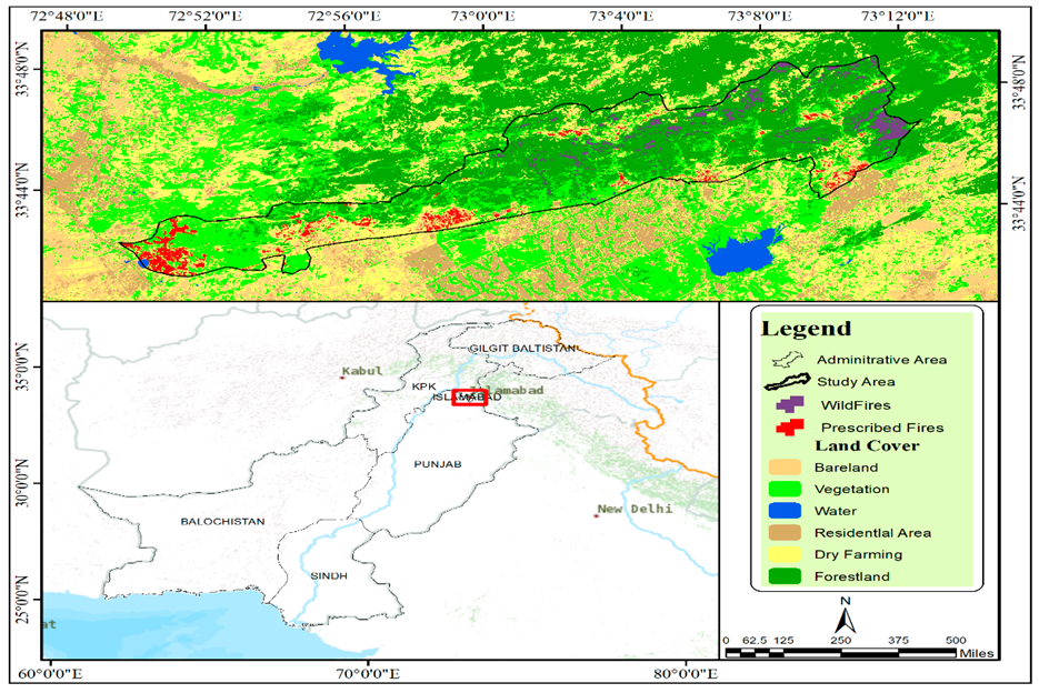 Forests 12 01371 g001