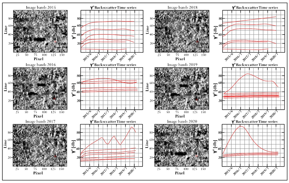 Forests 12 01371 g007