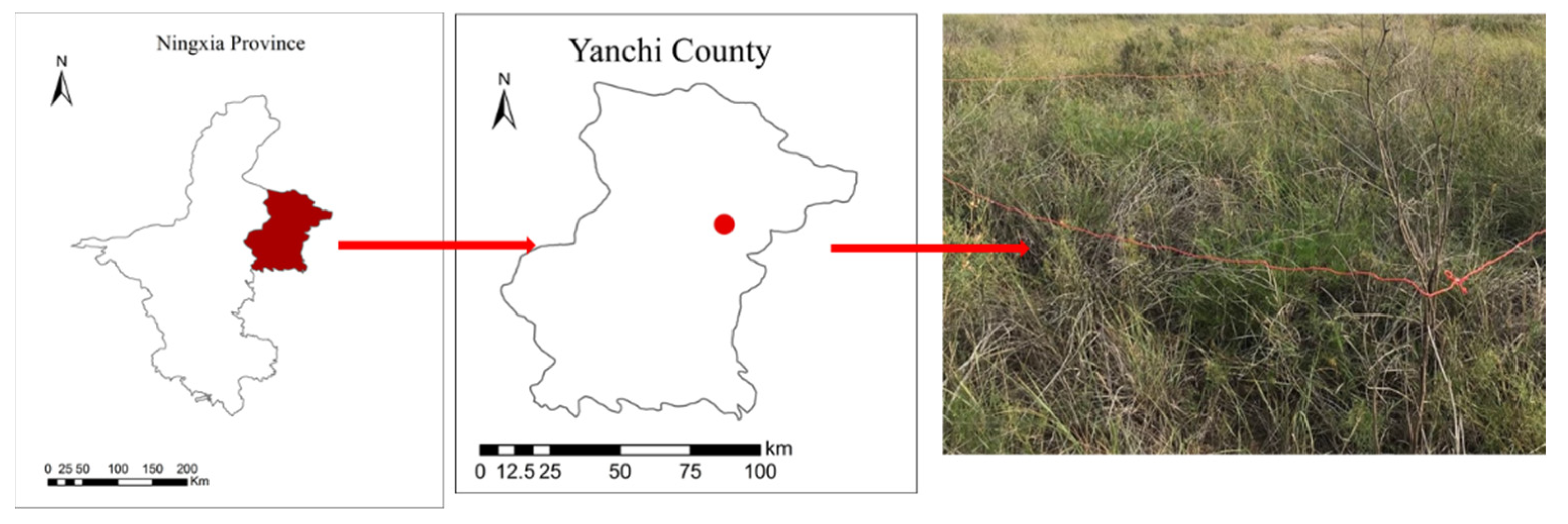 Forests 12 01372 g001 550