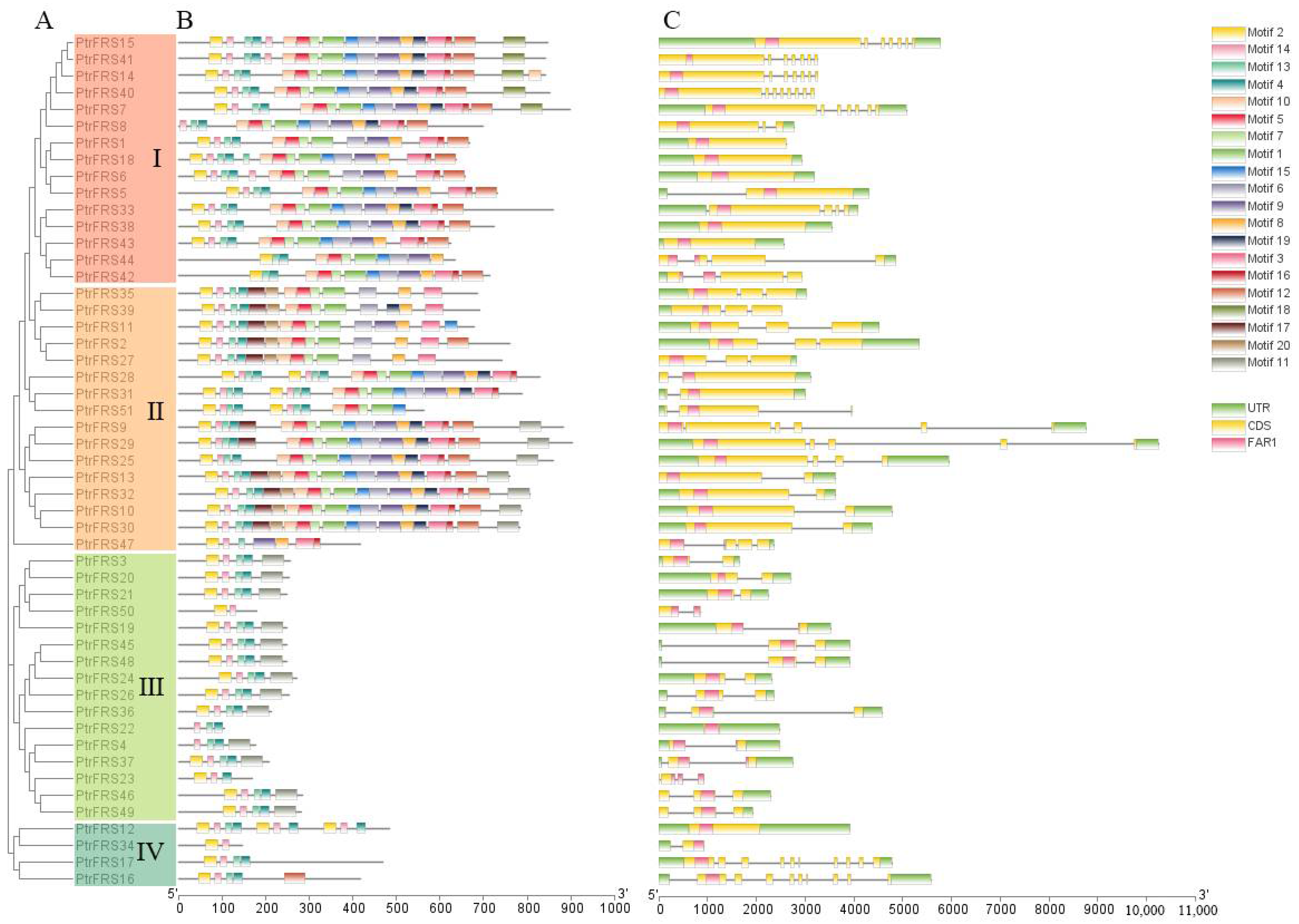 Forests 12 01385 g002