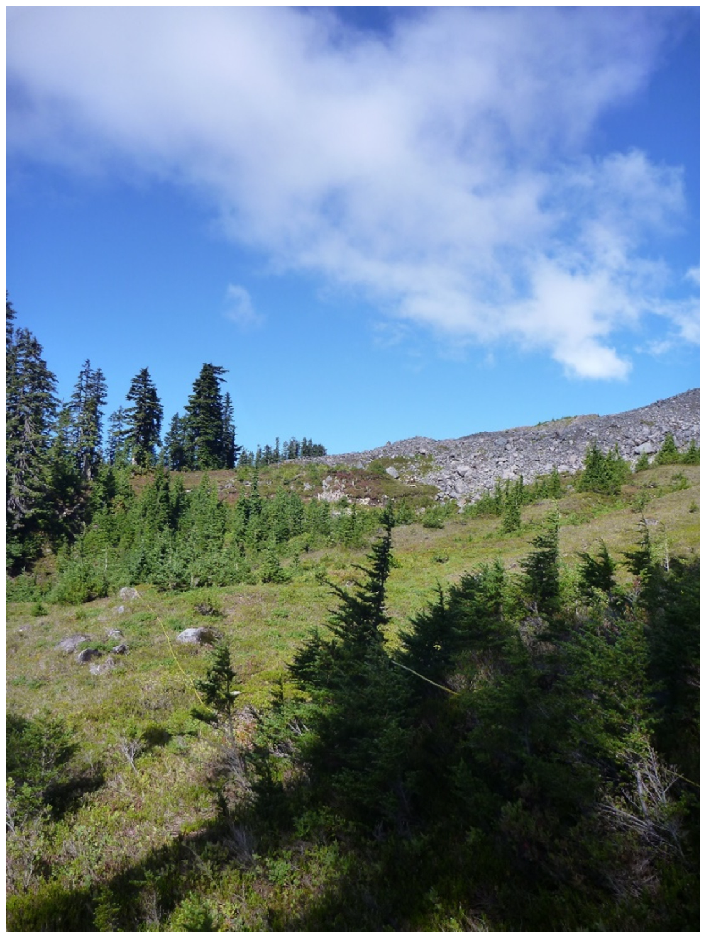 Forests 12 01390 g0a1 550