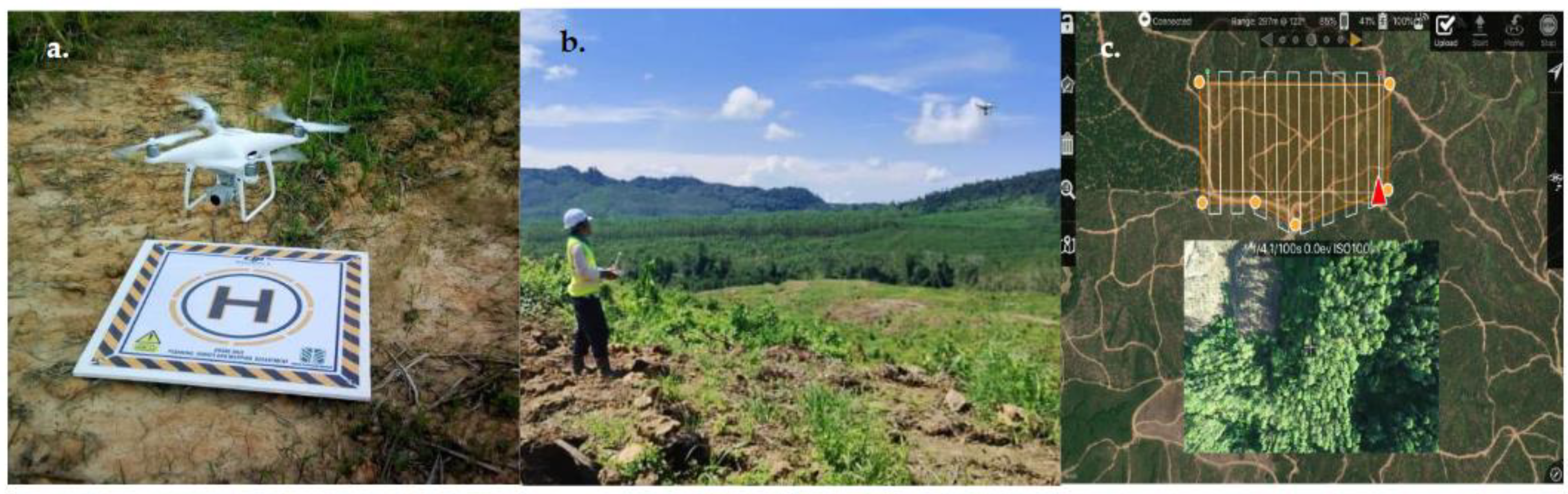 Forests 12 01393 g002 Forests 12 01393 g002