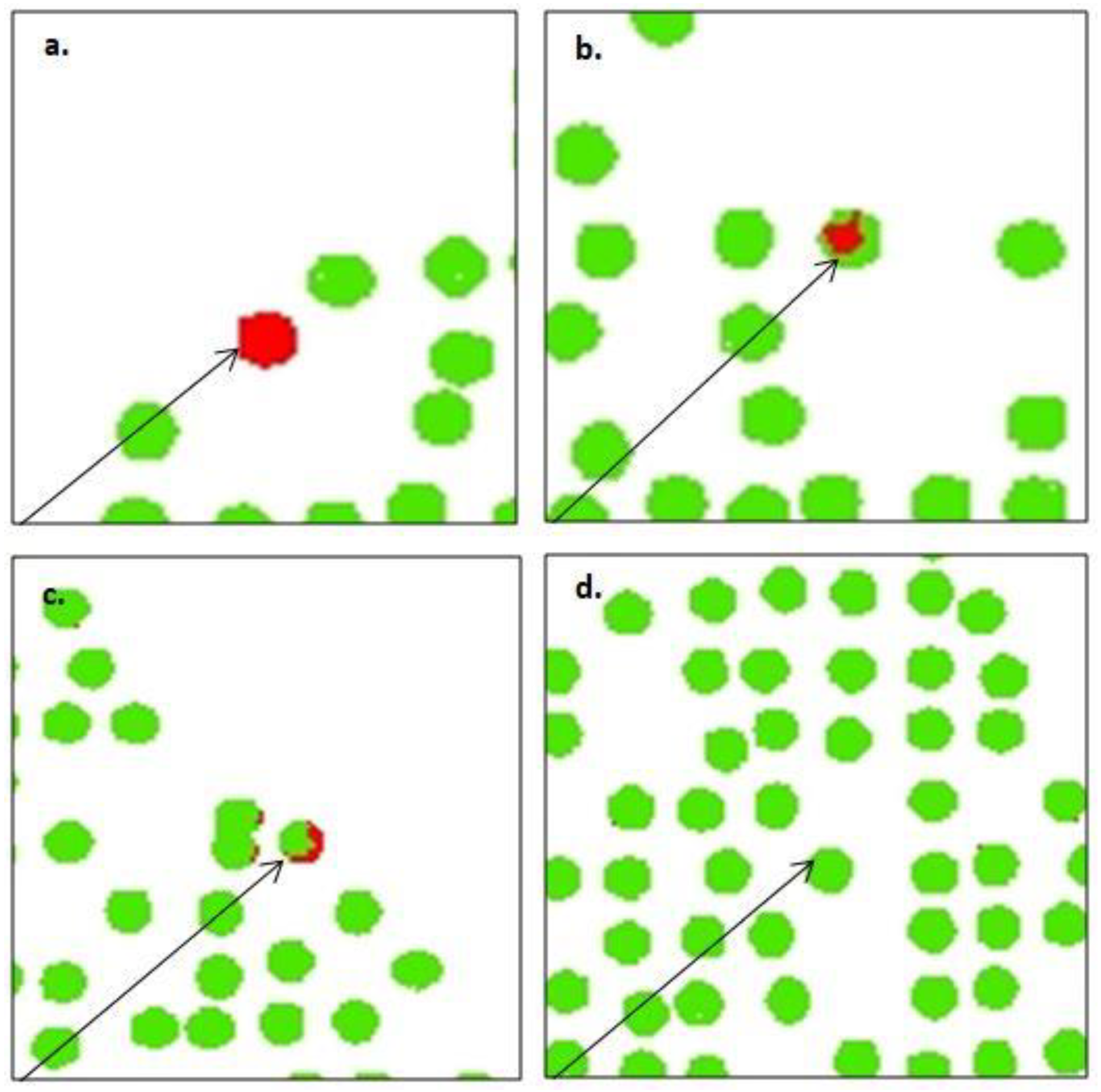 Forests 12 01393 g006 Forests 12 01393 g006
