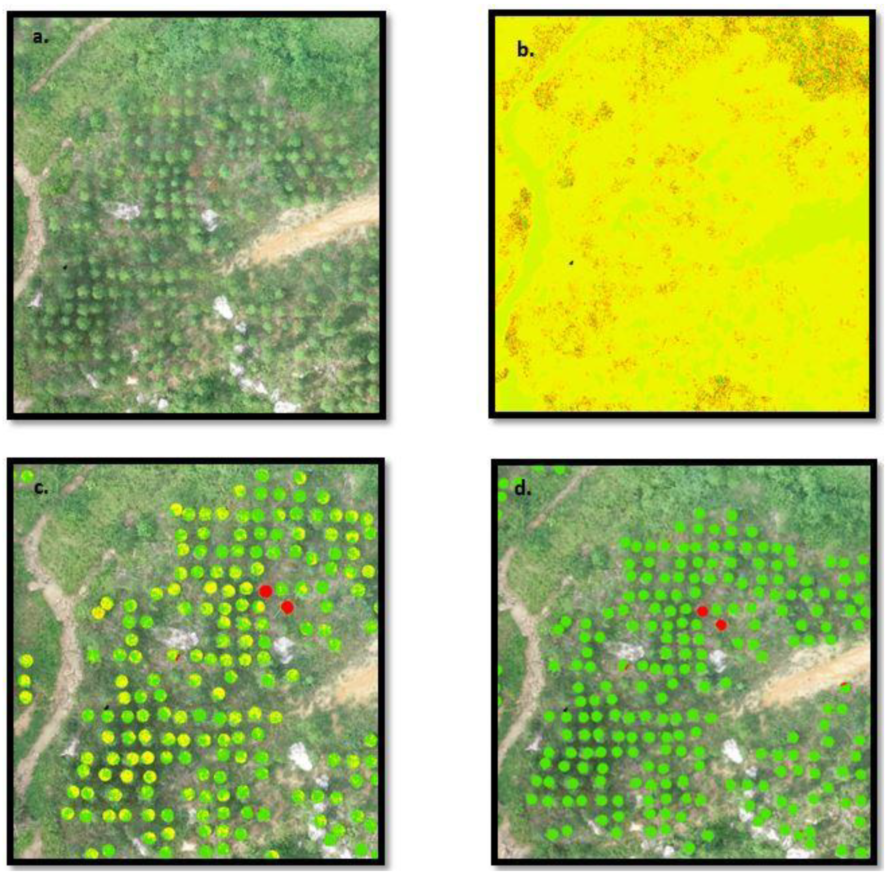 Forests 12 01393 g007 Forests 12 01393 g007