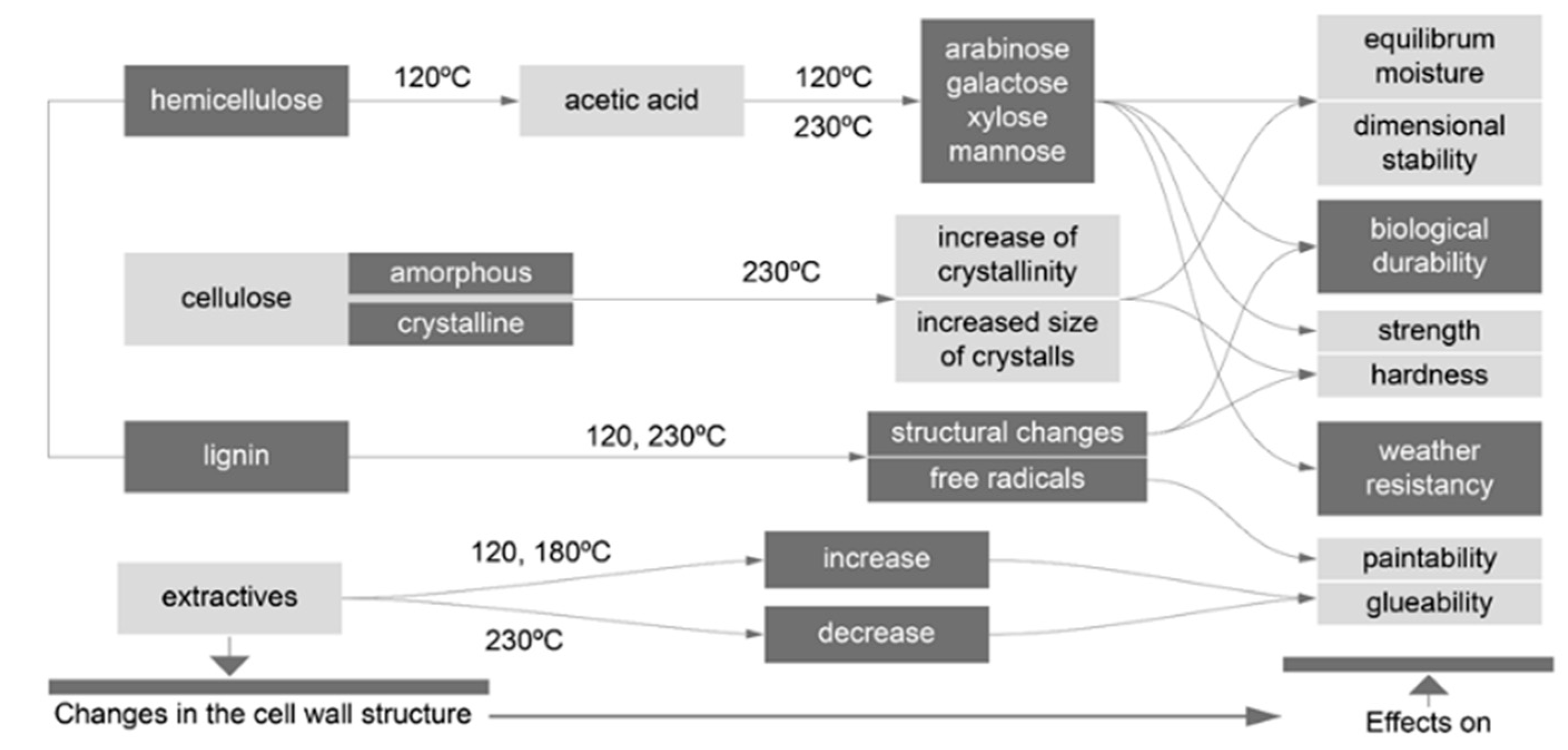 Forests 12 01400 g001 550