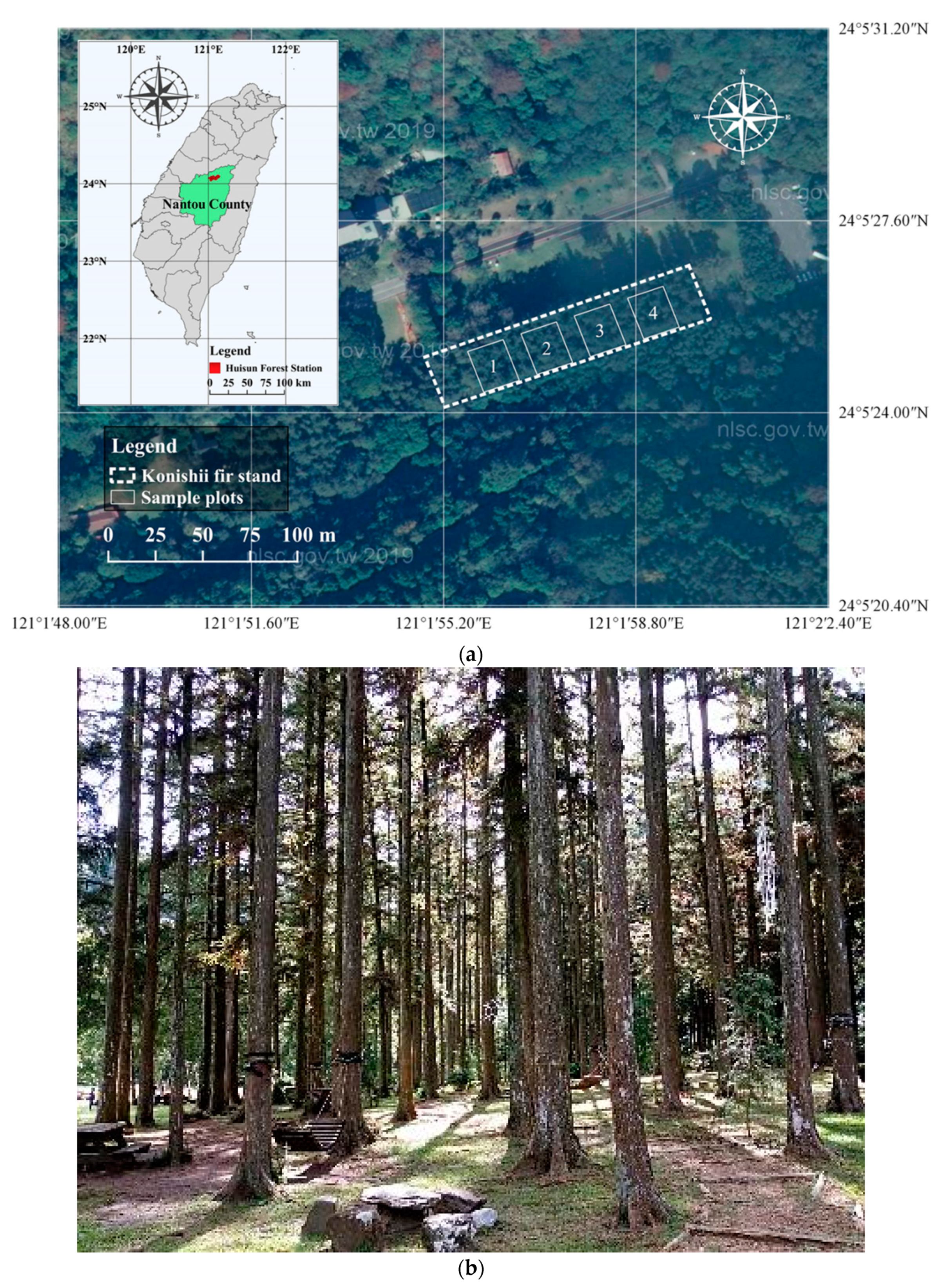 Application of Models to Predict Stand Volume, Aboveground