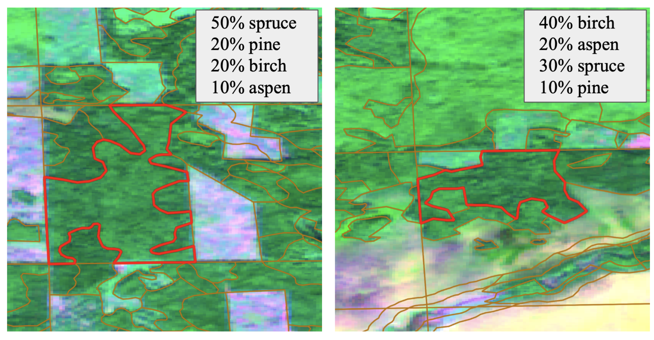 Forests 12 01413 g004 550