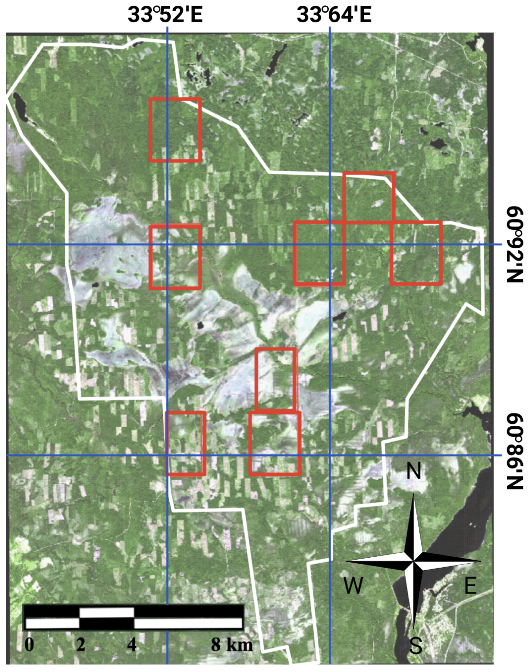 Forests 12 01413 g005 550