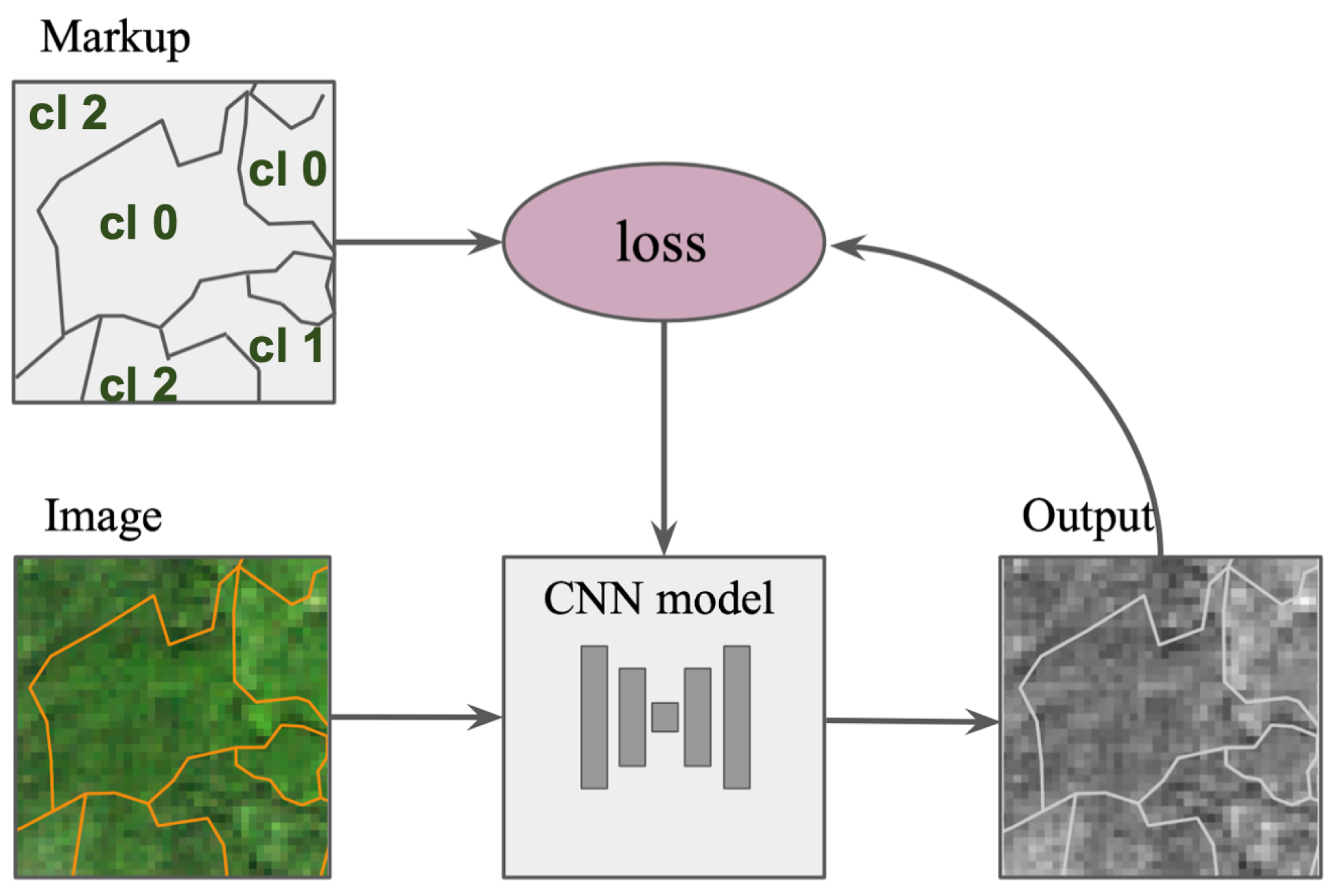 Forests 12 01413 g007 550