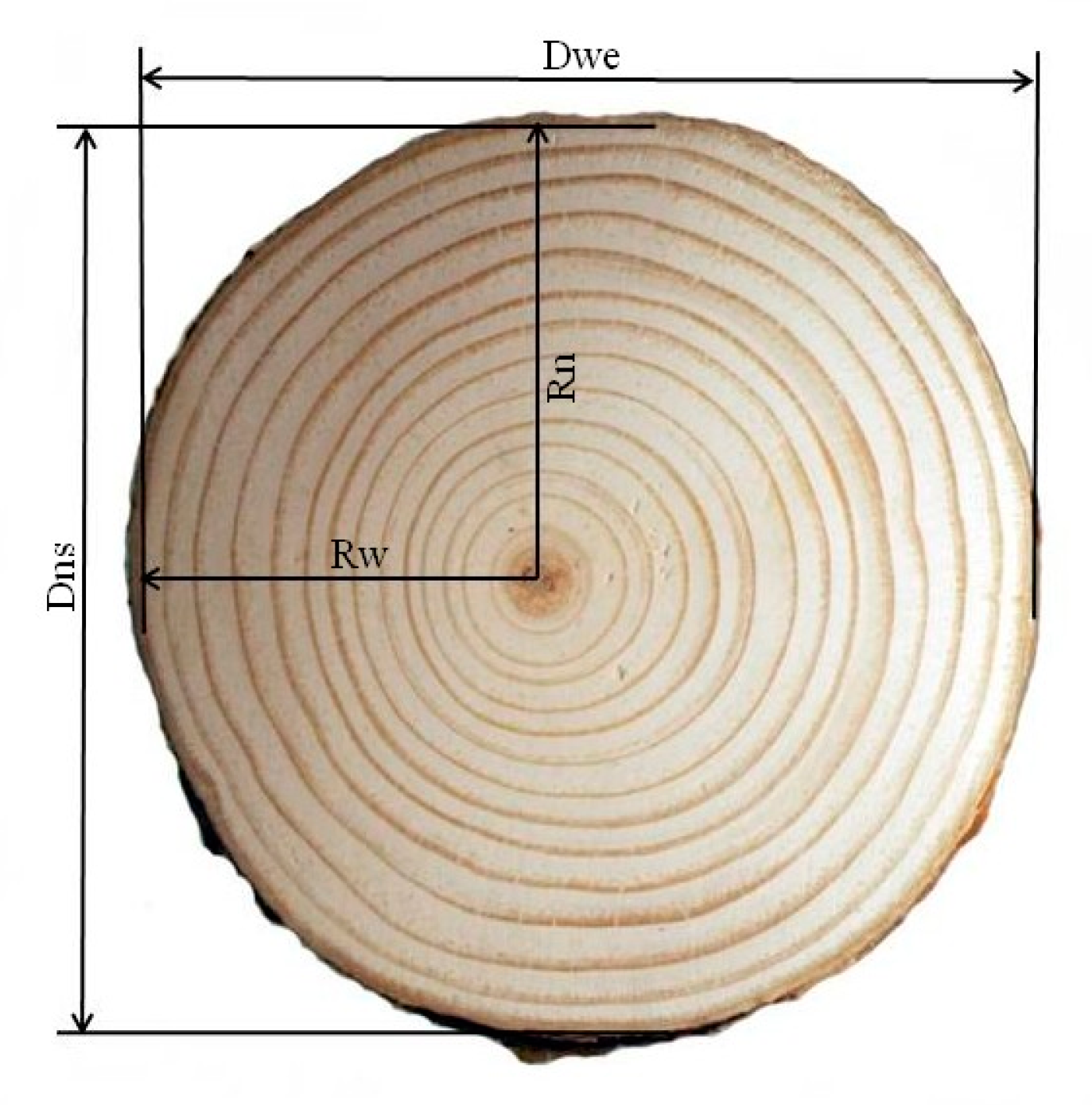 Met andere woorden veel plezier Prediken Forests | Free Full-Text | Effects of Strip Roads in a Pine Tree Stand  (Pinus sylvestris L.) on the Diameter Growth and Pith Eccentricity of Trees  Growing along Them