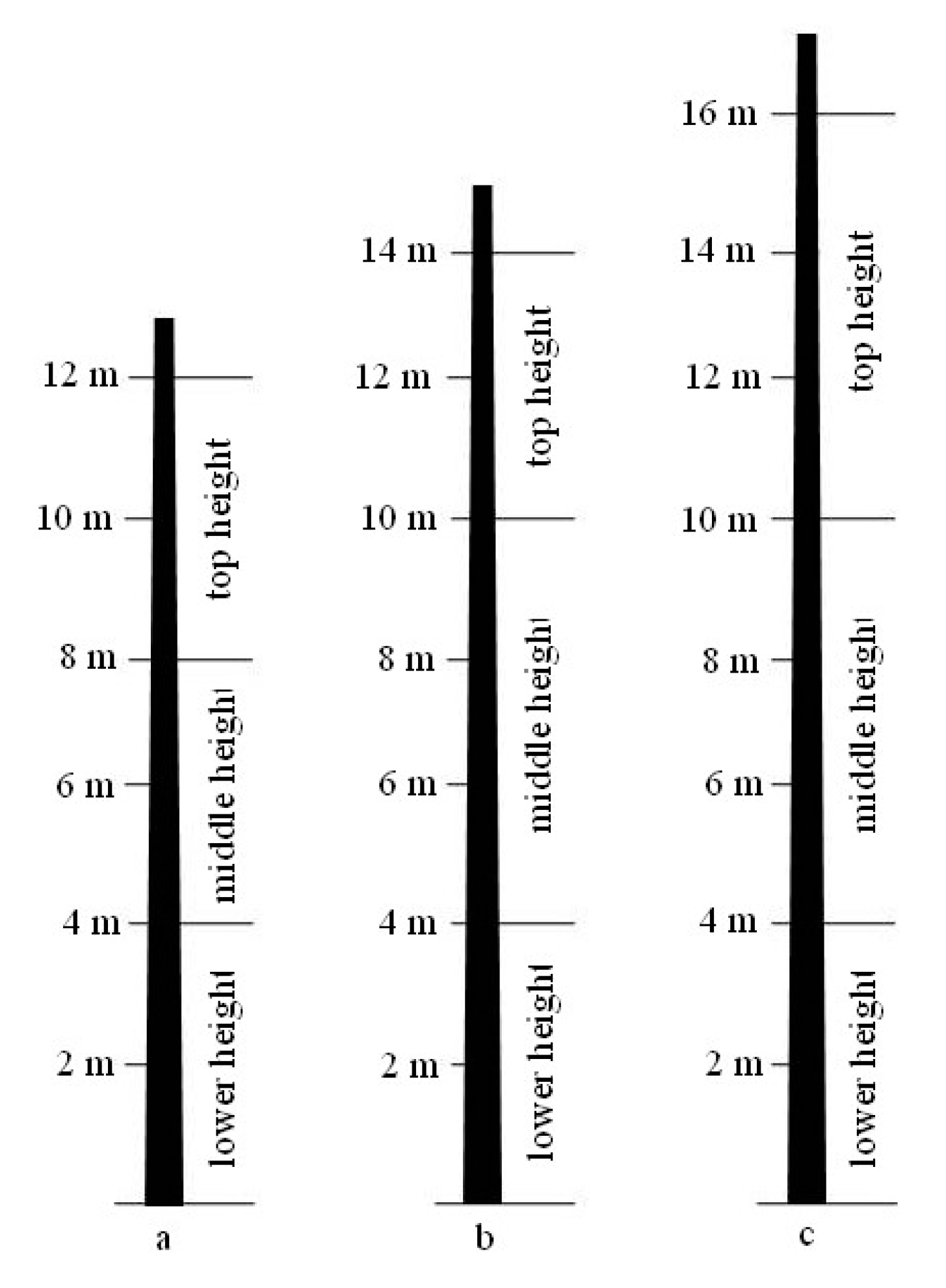 Forests 12 01414 g002 Forests 12 01414 g002