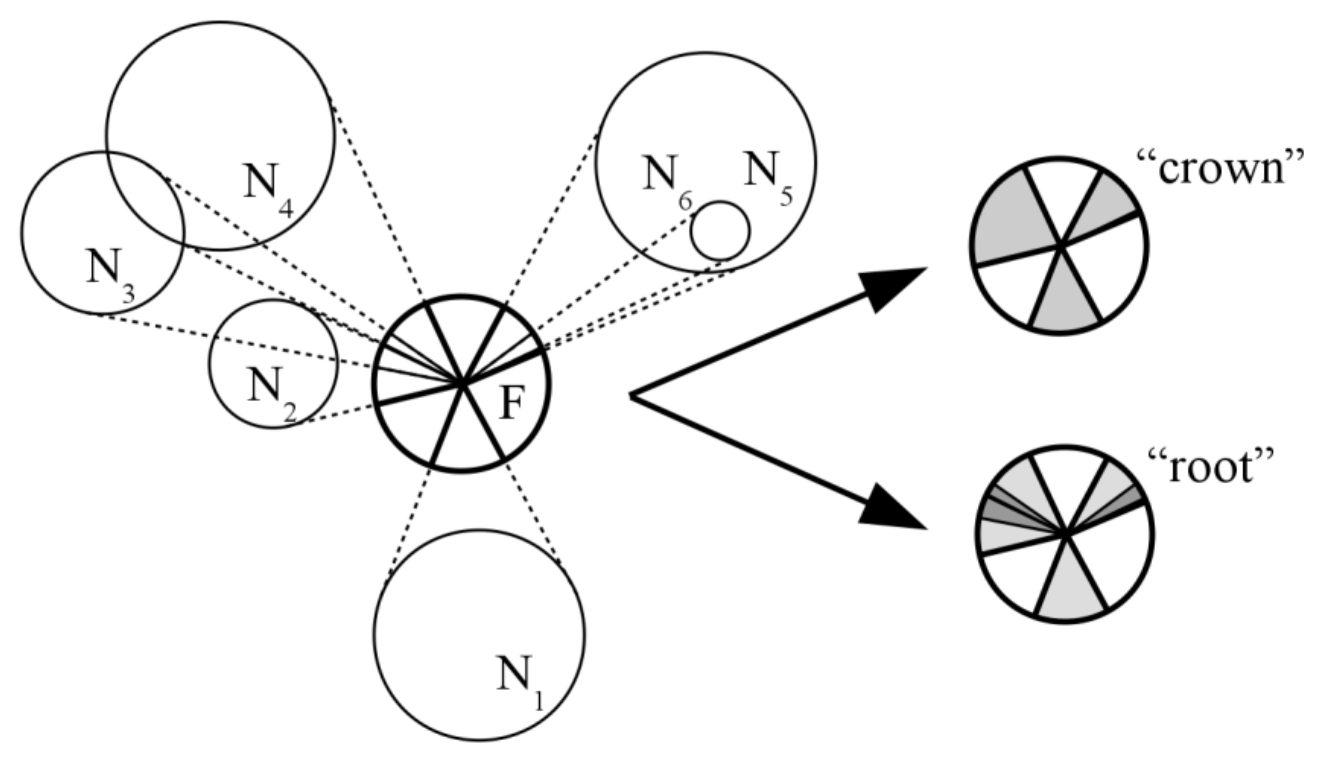 Forests 12 01415 g001