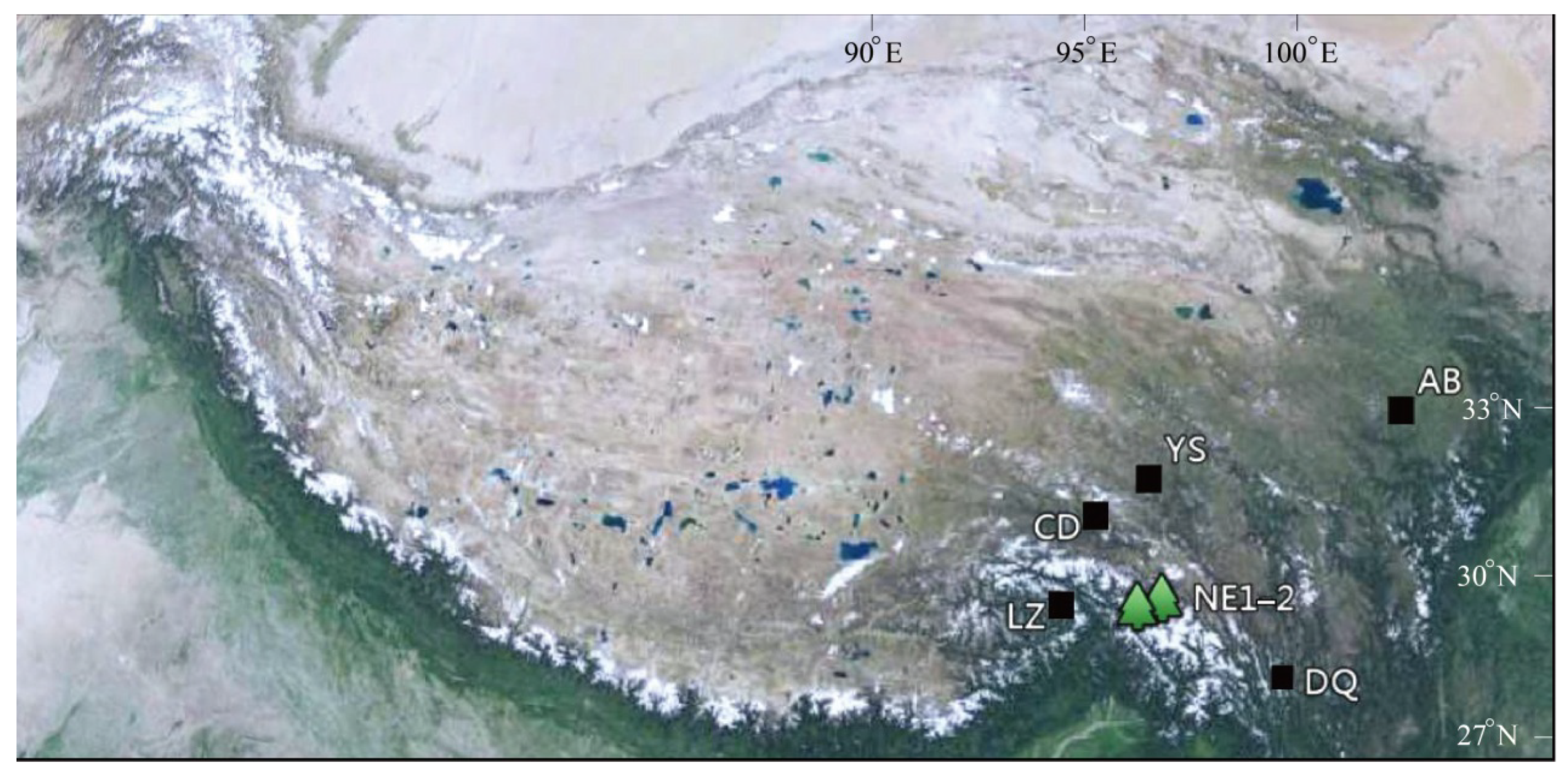 Forests 12 01417 g001
