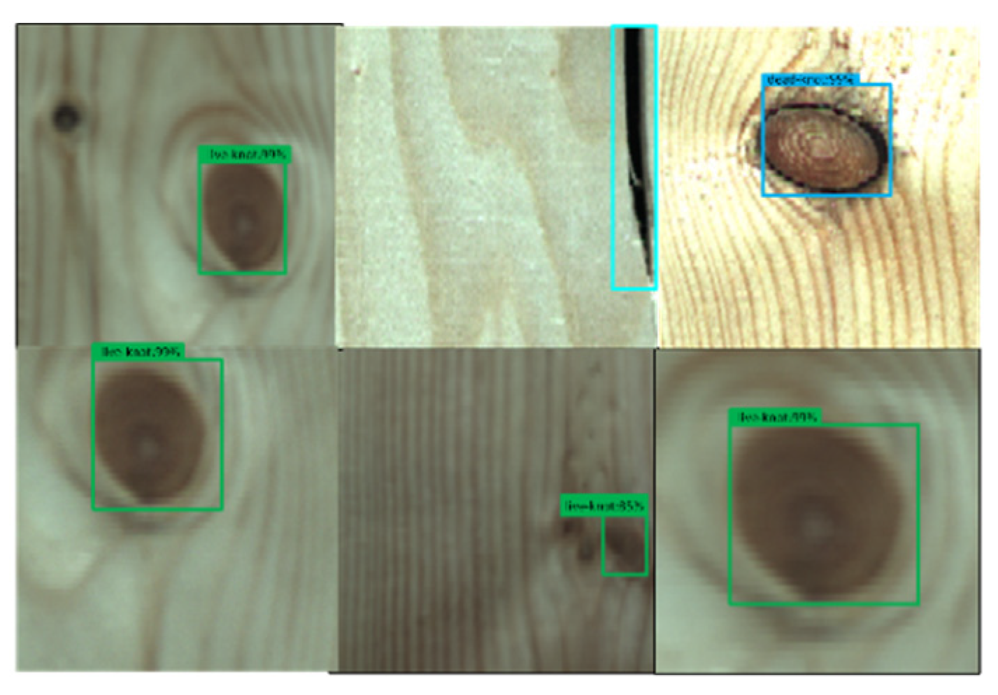 Forests 12 01419 g008