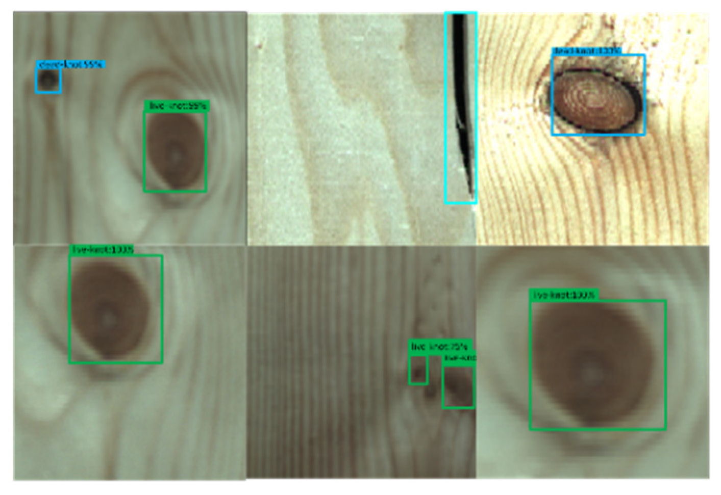Forests 12 01419 g009