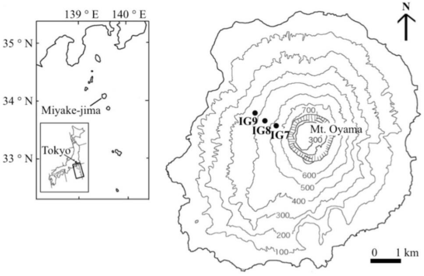 Changes in Soil Physical and Chemical Properties during Vegetation  Succession on Miyake-jima Island