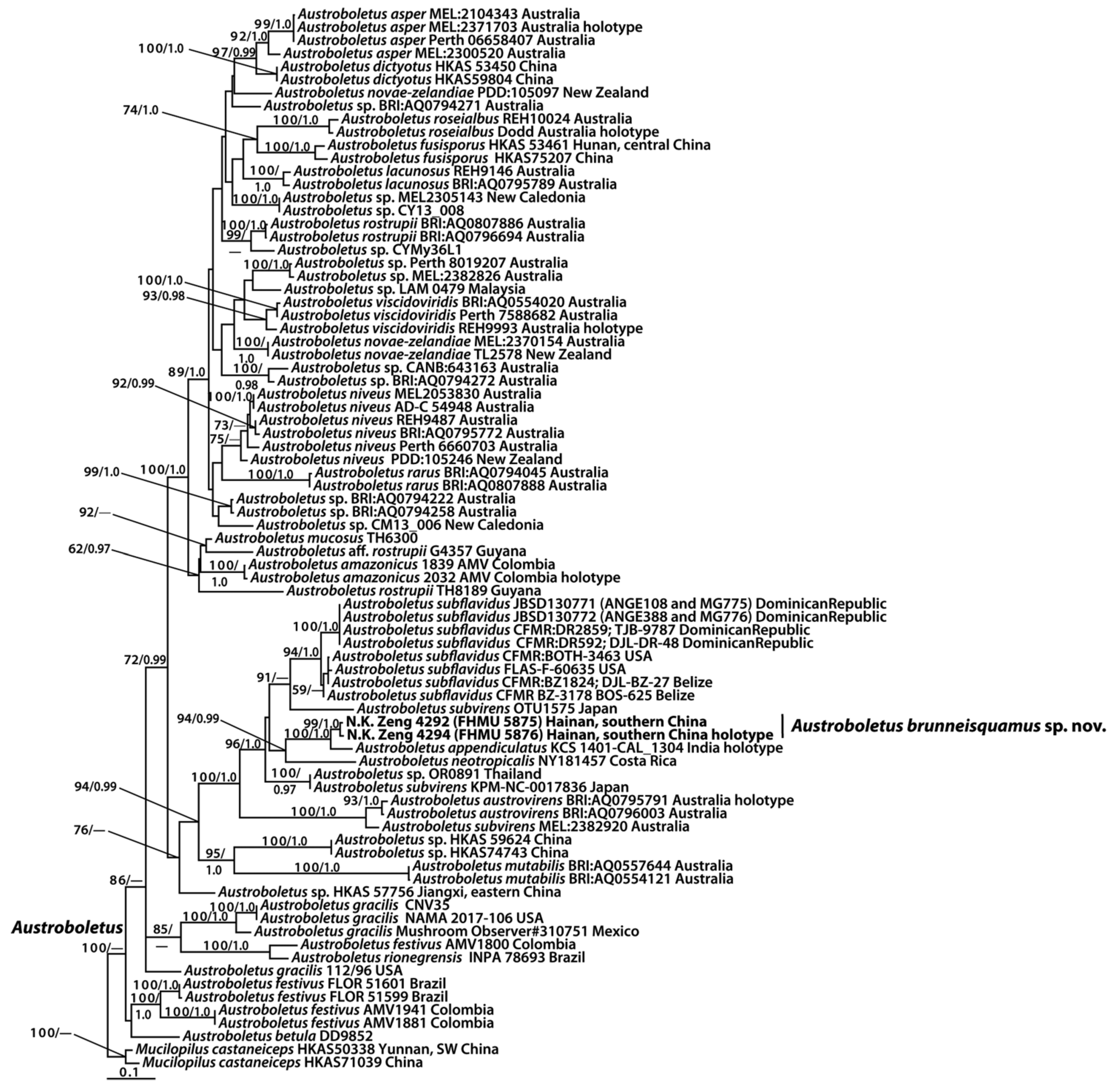 Forests 12 01438 g001
