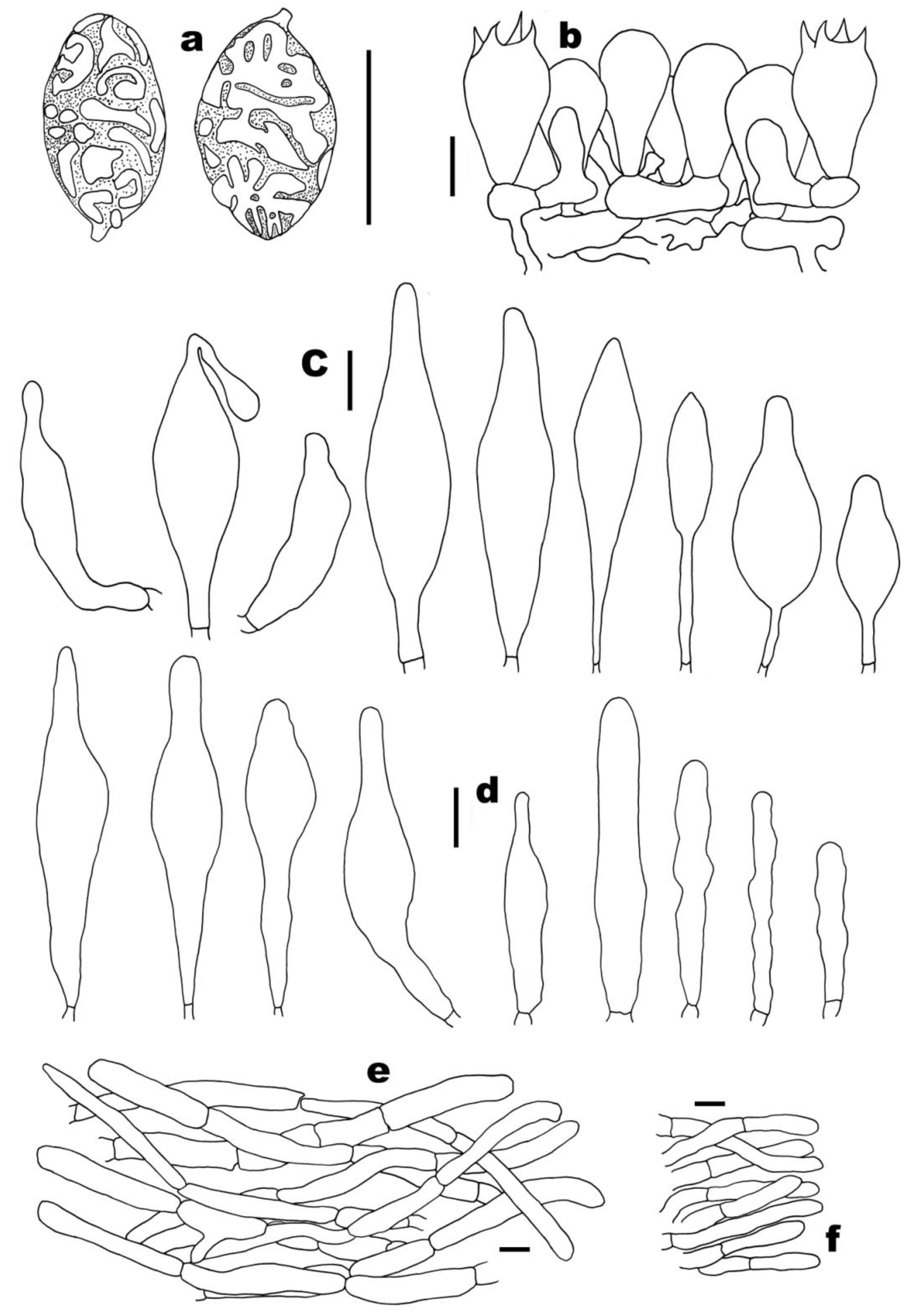 Forests 12 01438 g003
