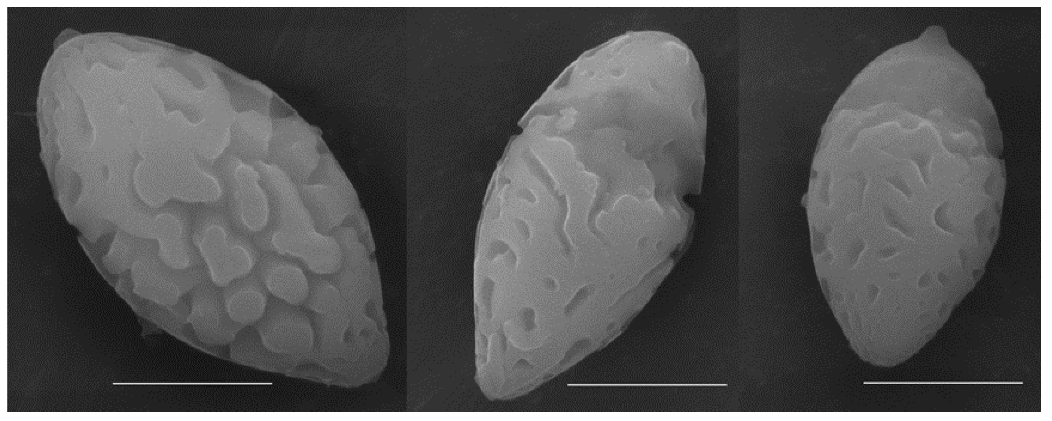 Forests 12 01438 g004