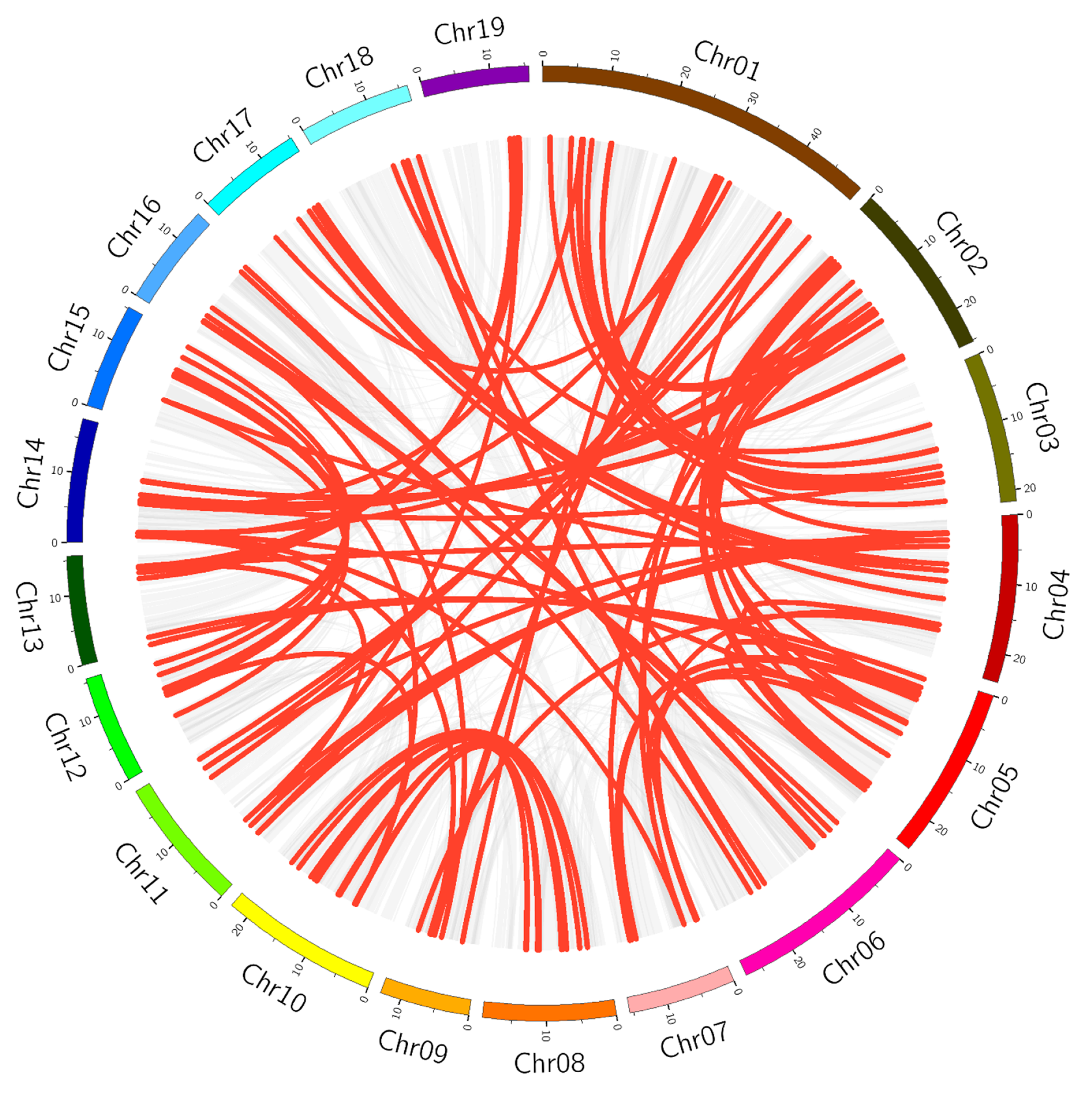 Forests 12 01439 g002 550
